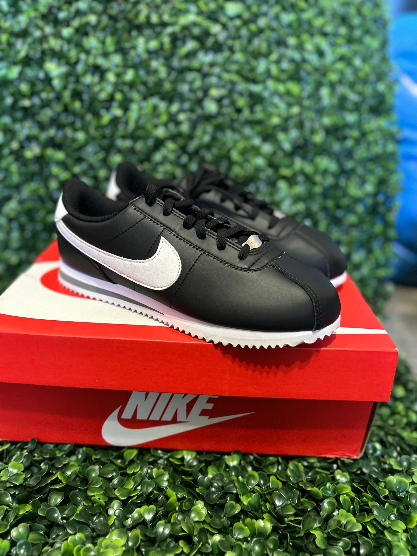 Nike cortez