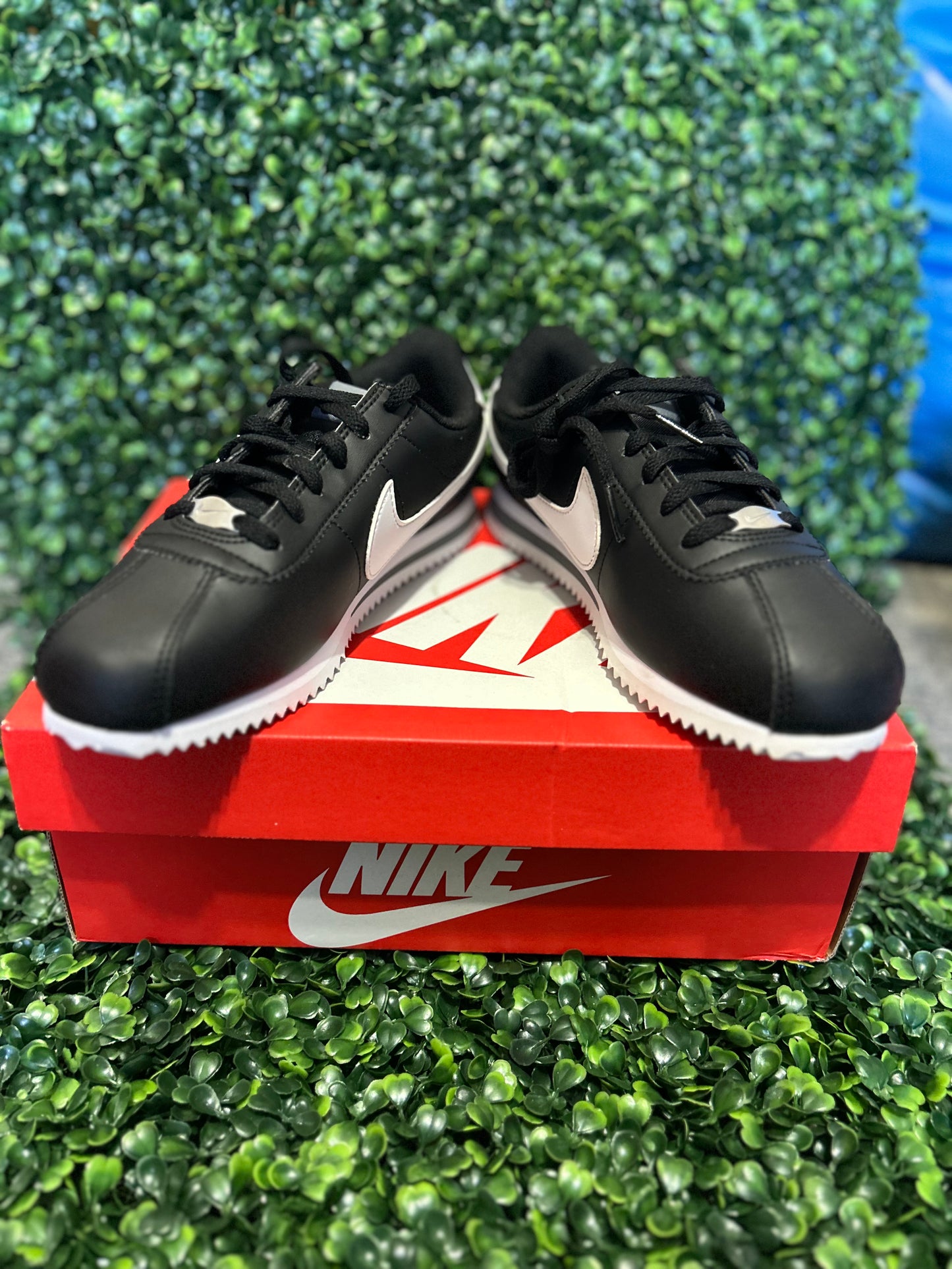 Nike cortez