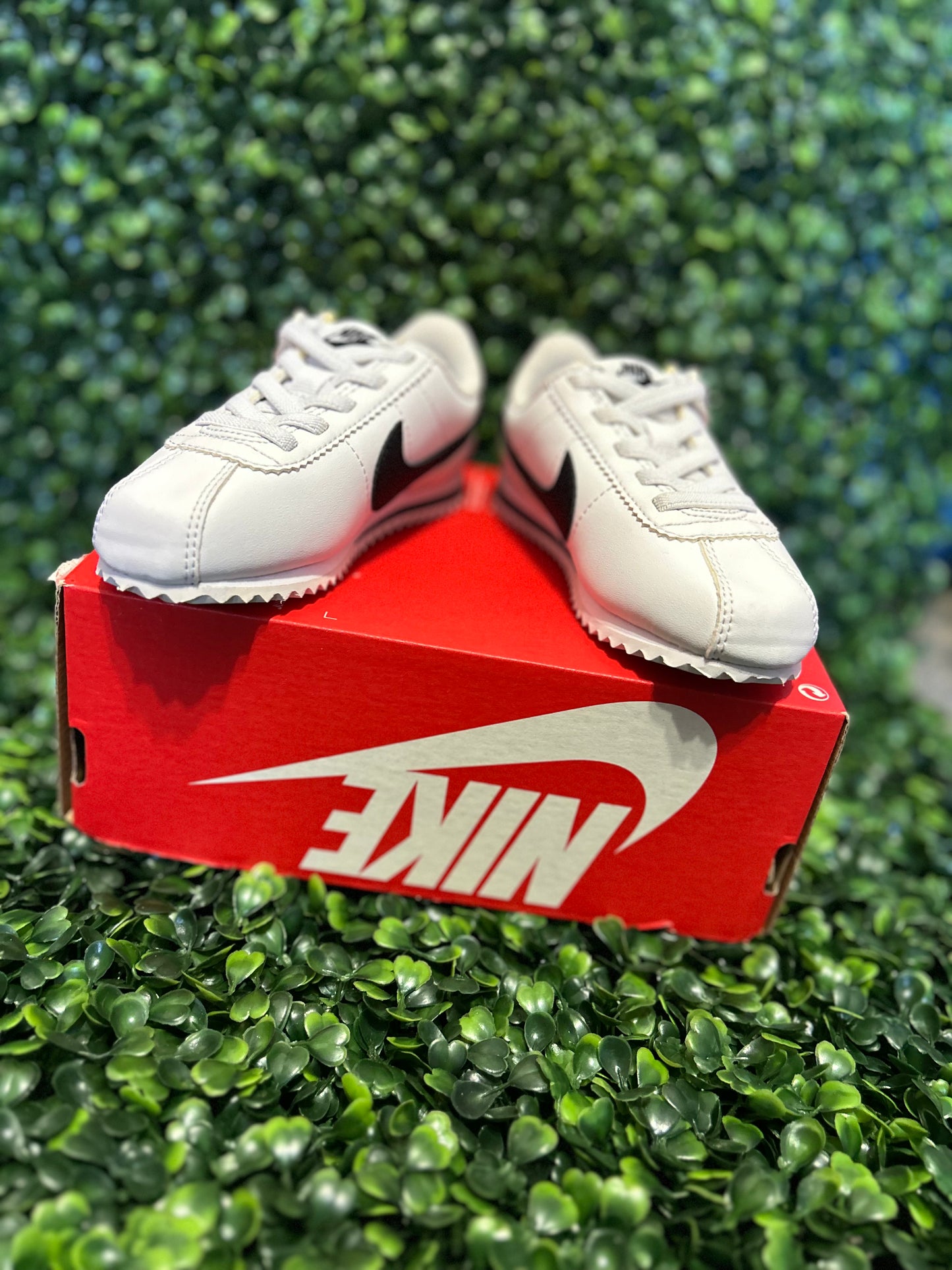 Nike cortez