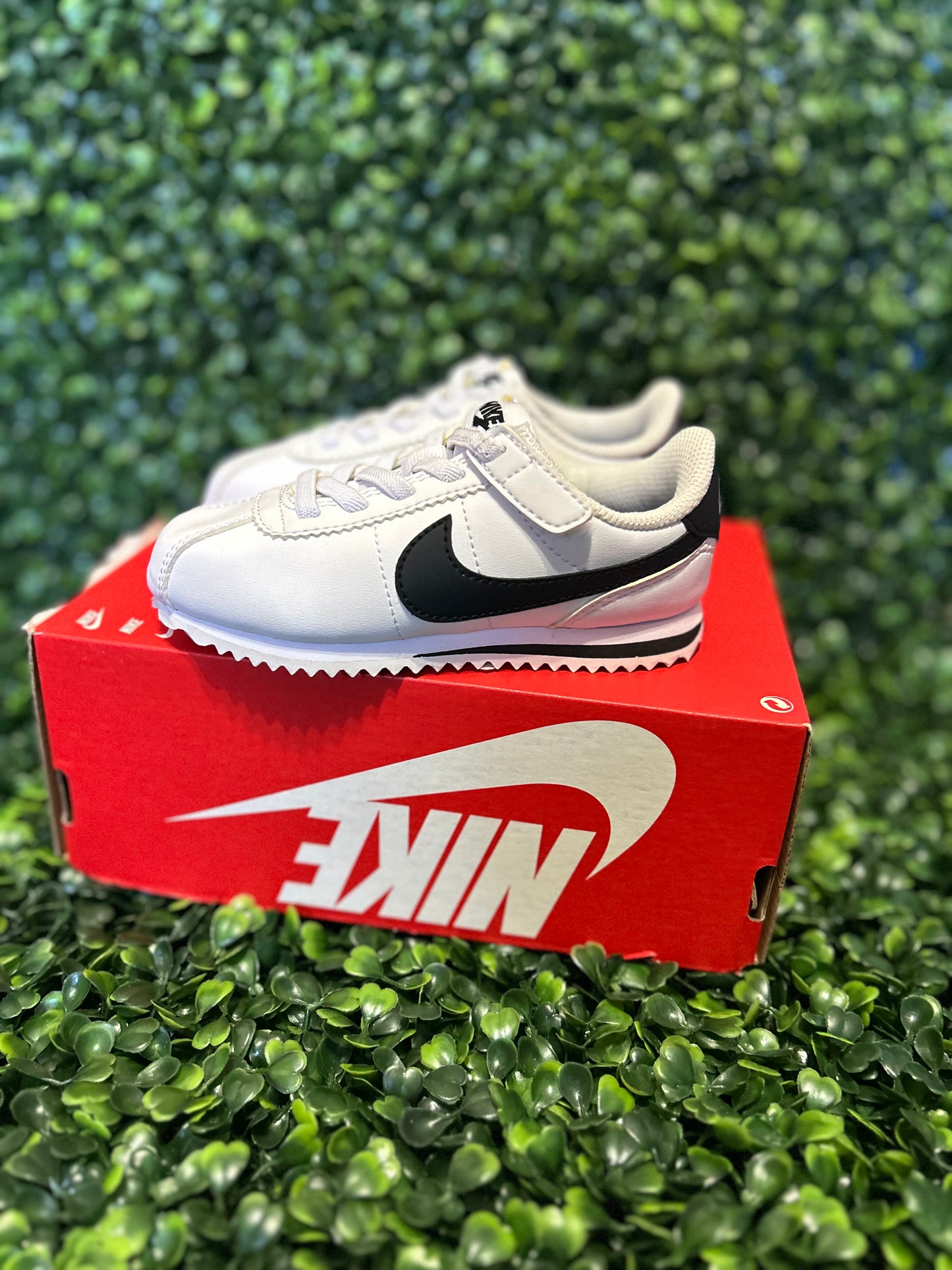 Nike cortez