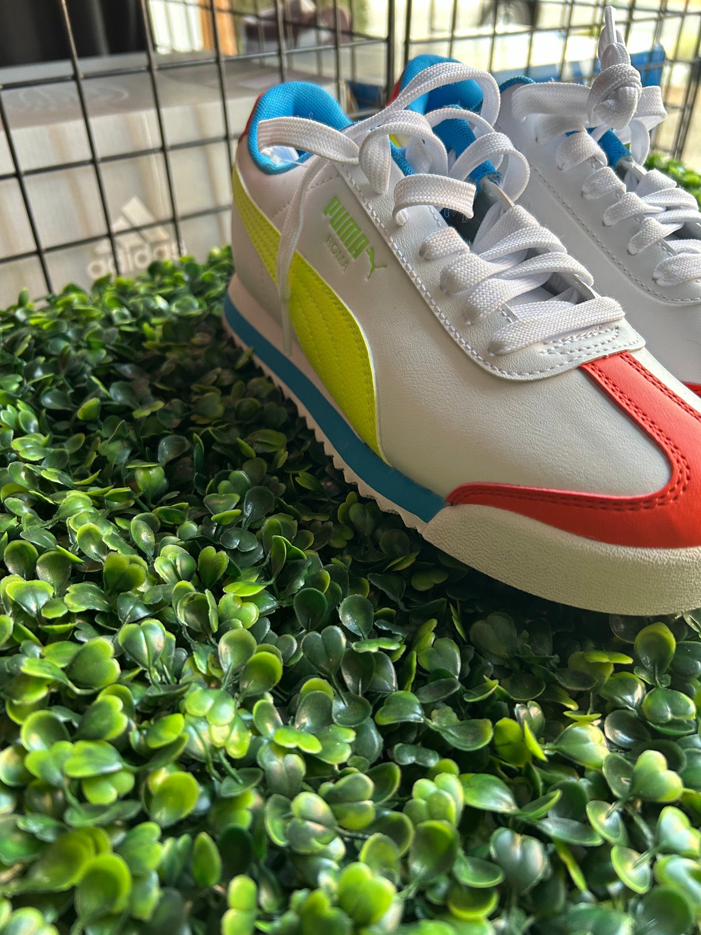 Puma roma size 4.5