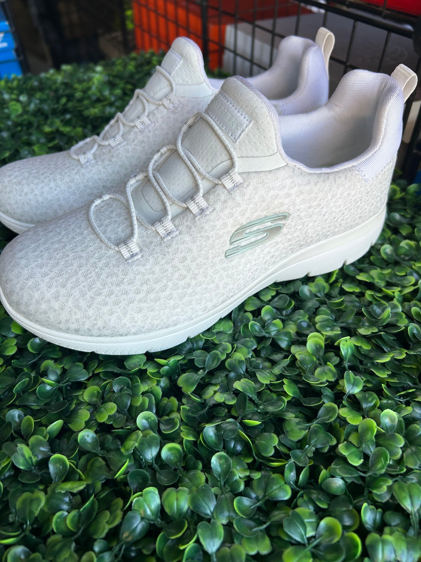 Sketcher summit size 6