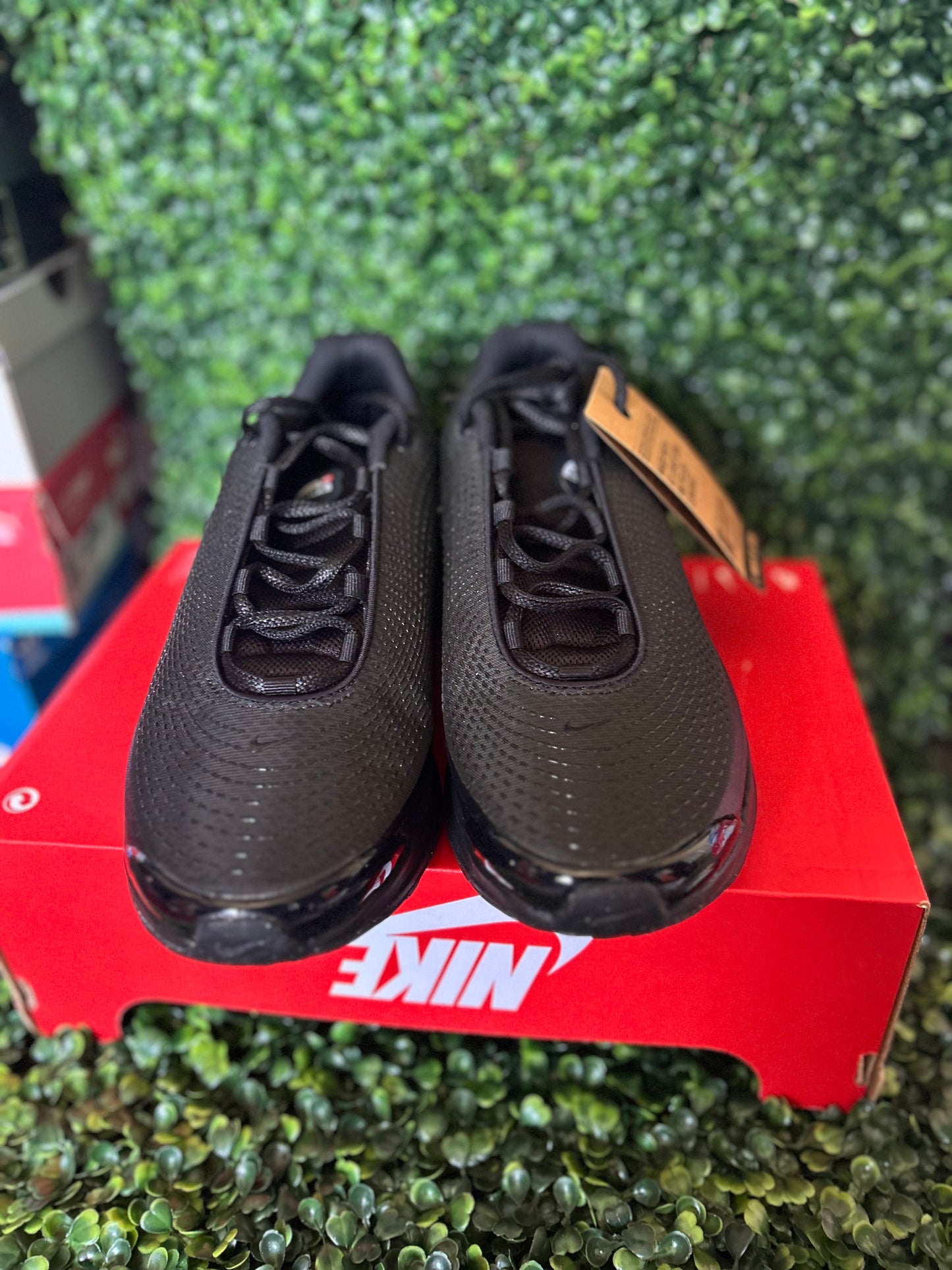Nike air max dn