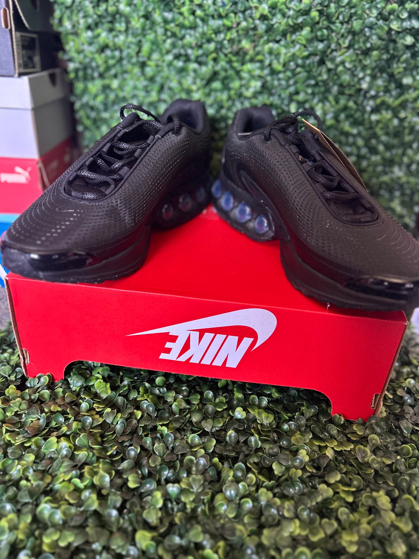 Nike air max dn