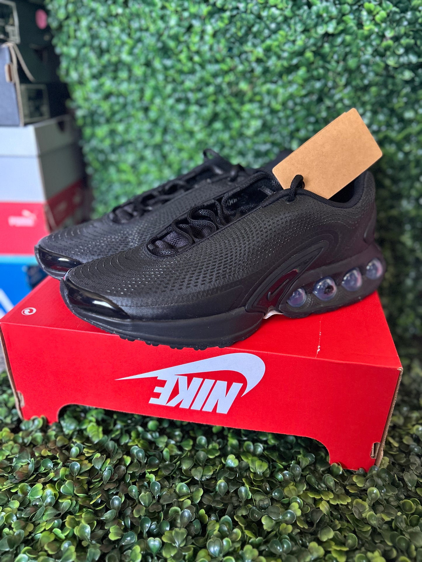 Nike air max dn