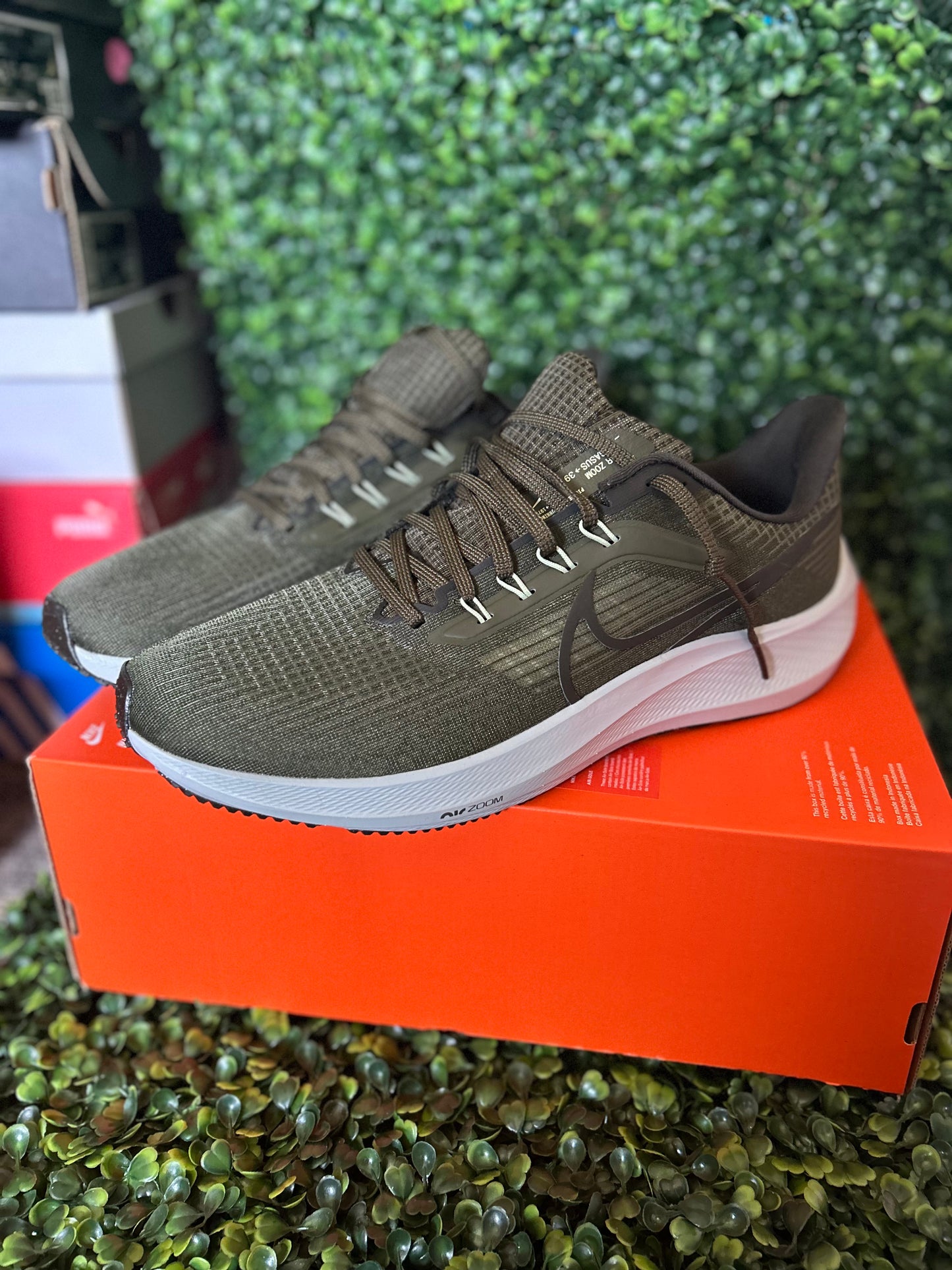 Nike air zoom pegasus
