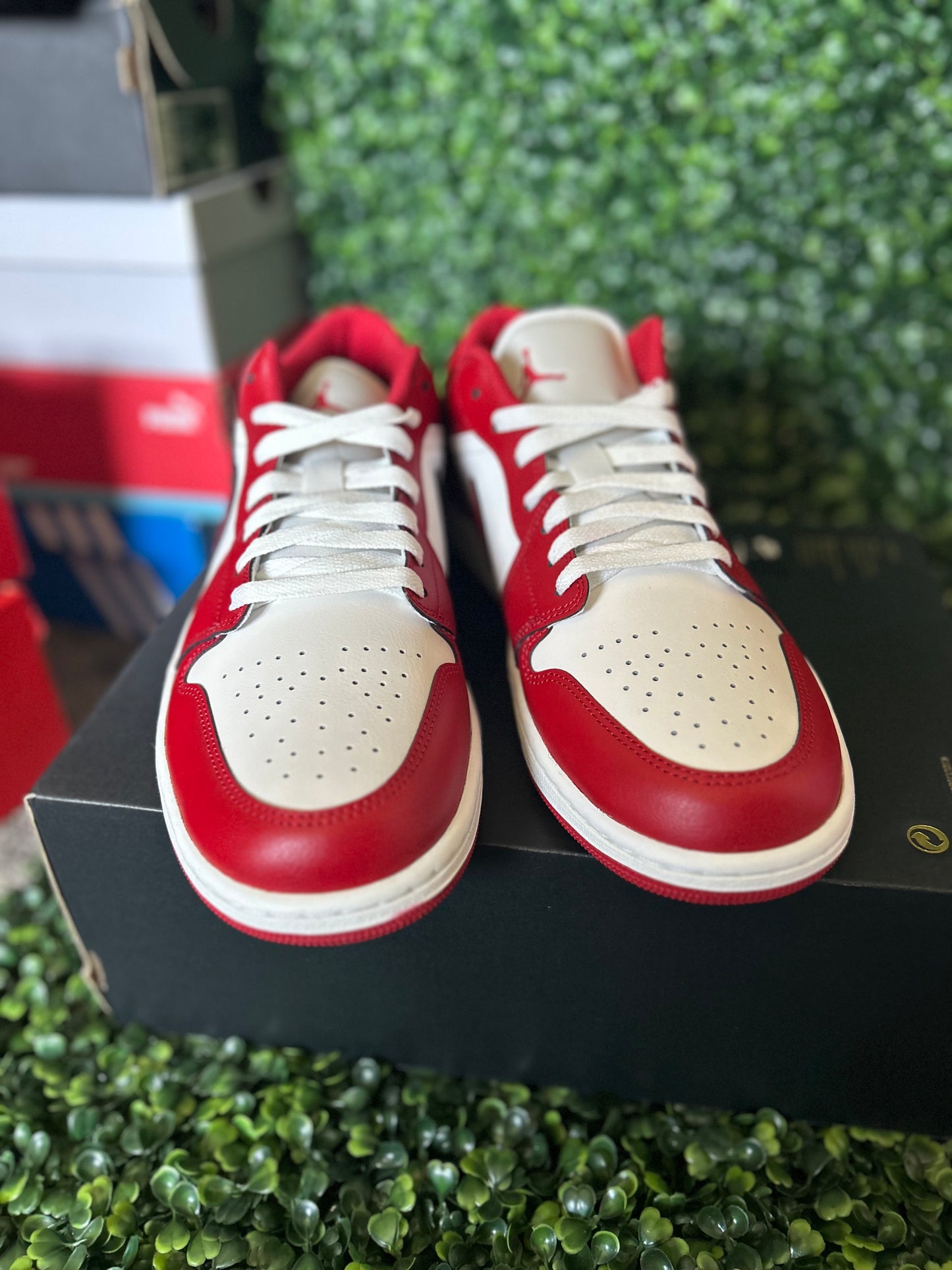 Jordan 1