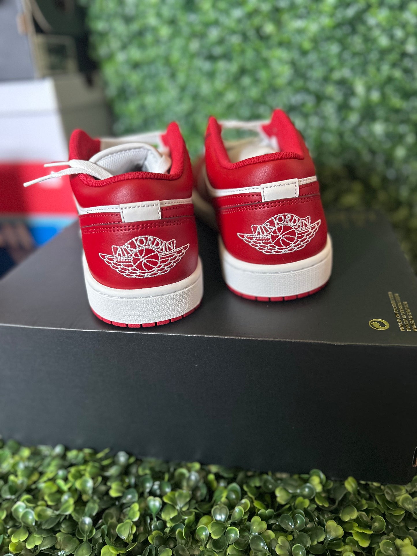 Jordan 1