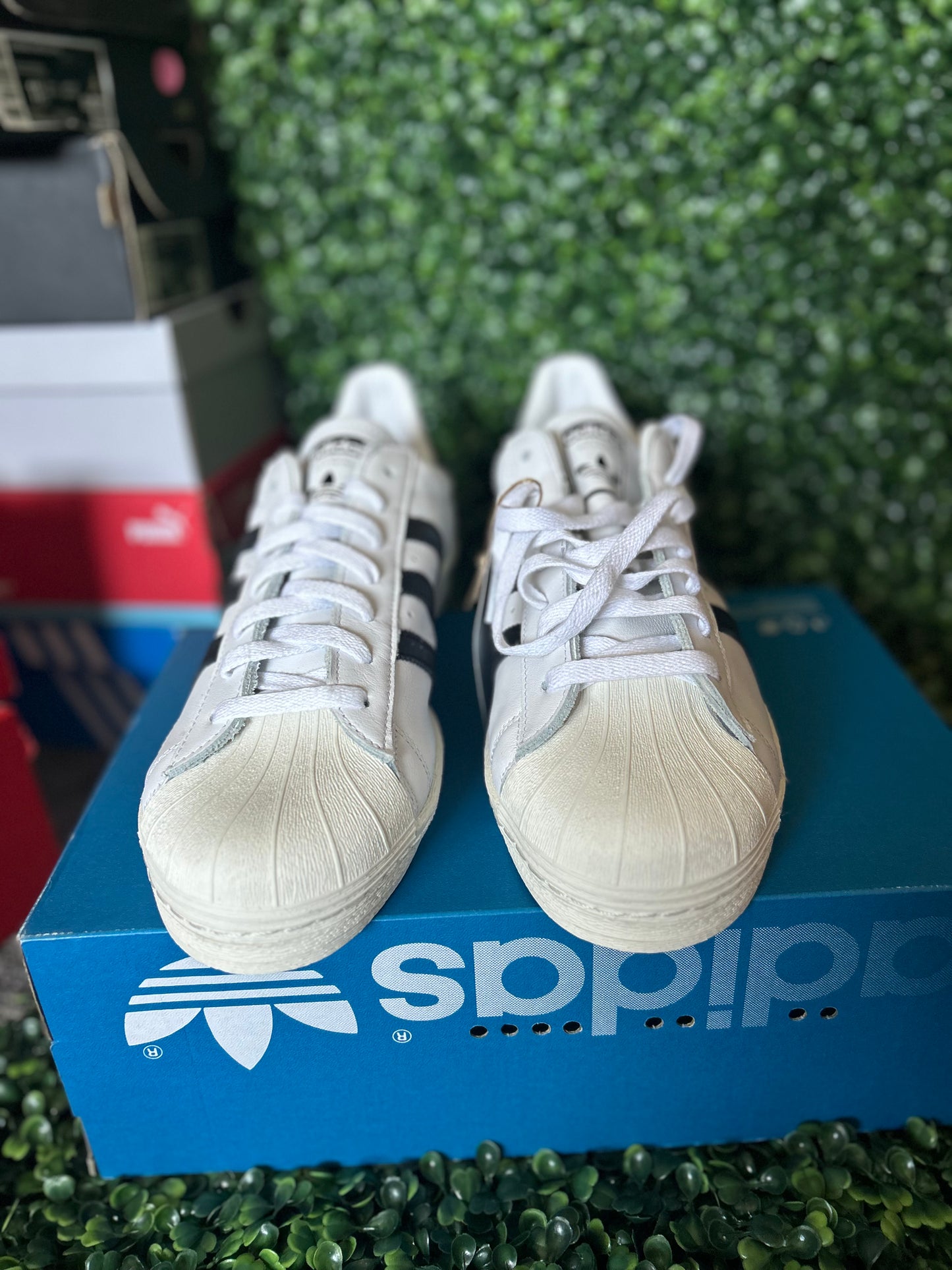 Adidas superstar