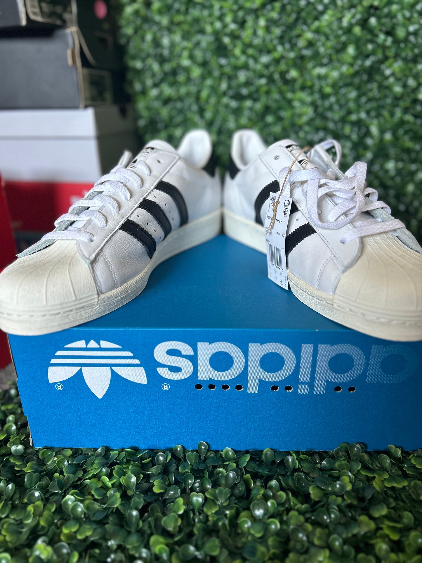 Adidas superstar