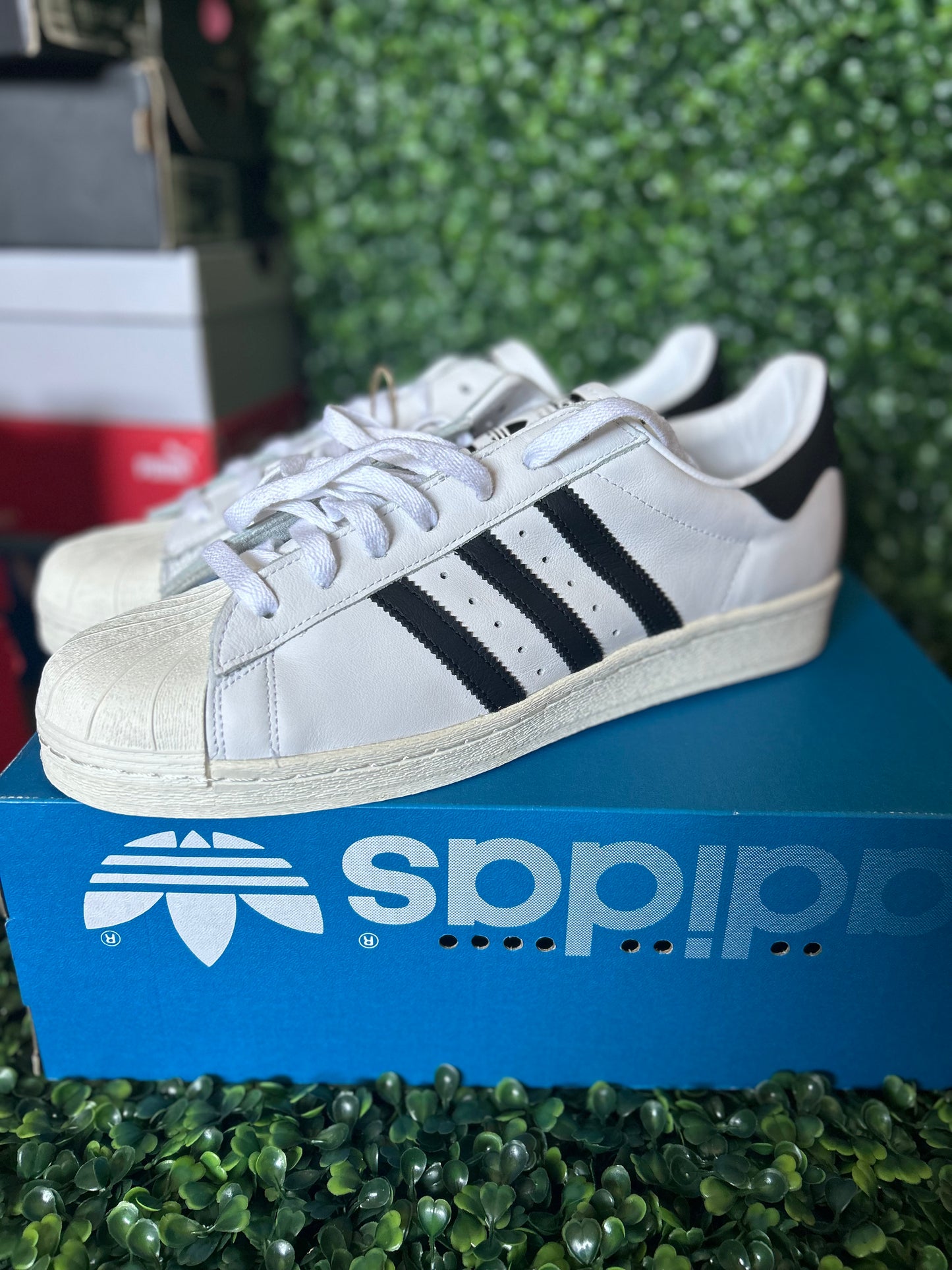 Adidas superstar
