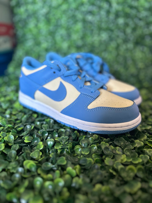Nike dunk
