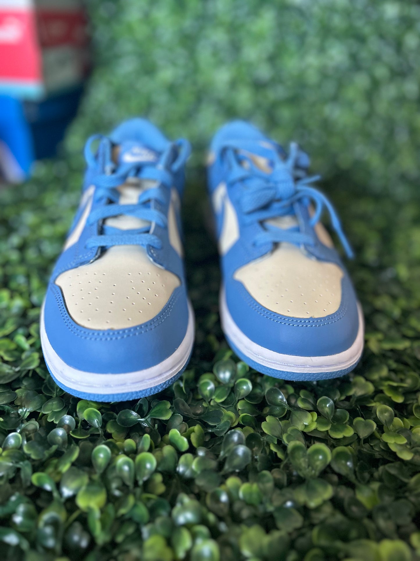 Nike dunk