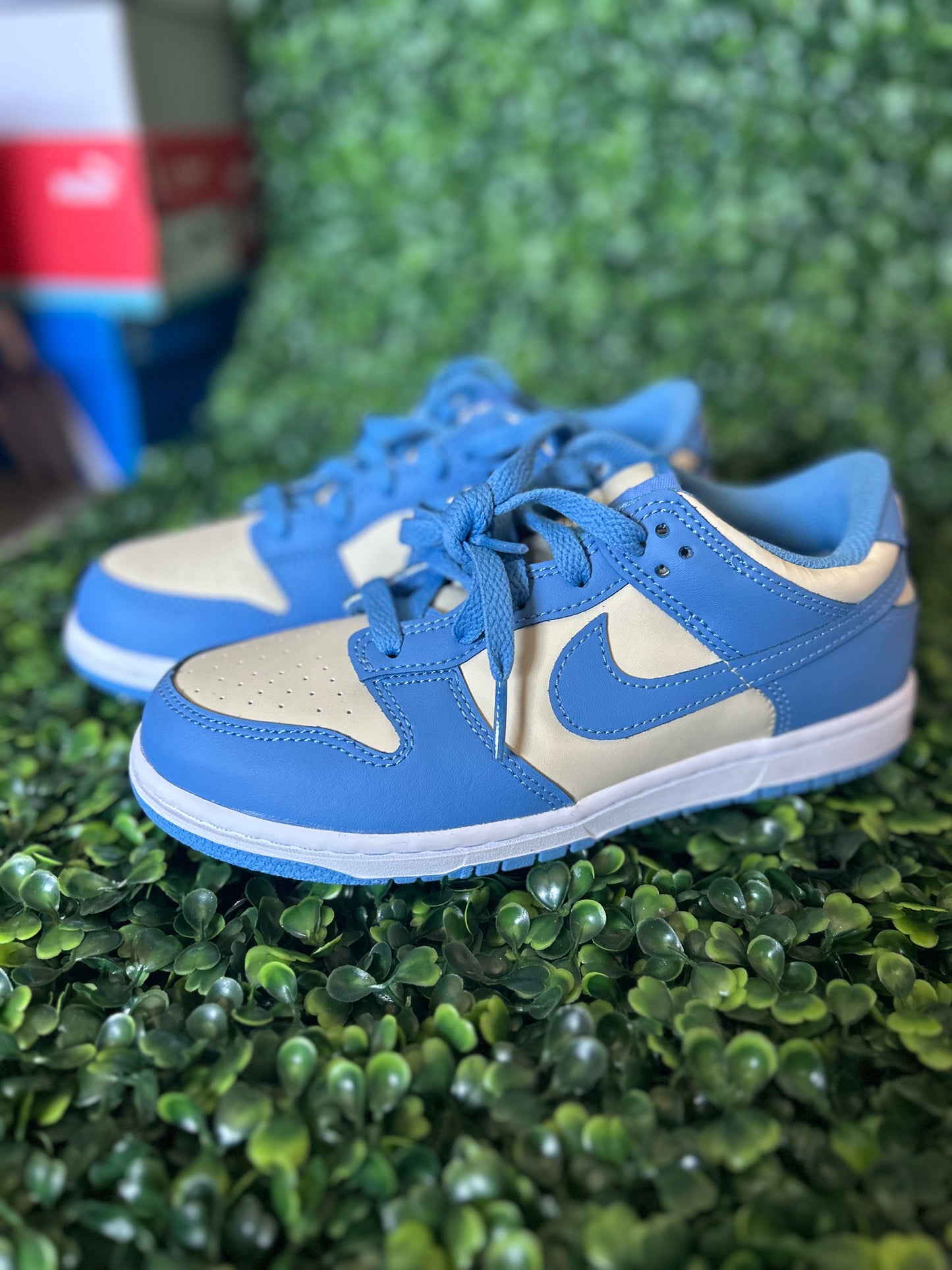 Nike dunk