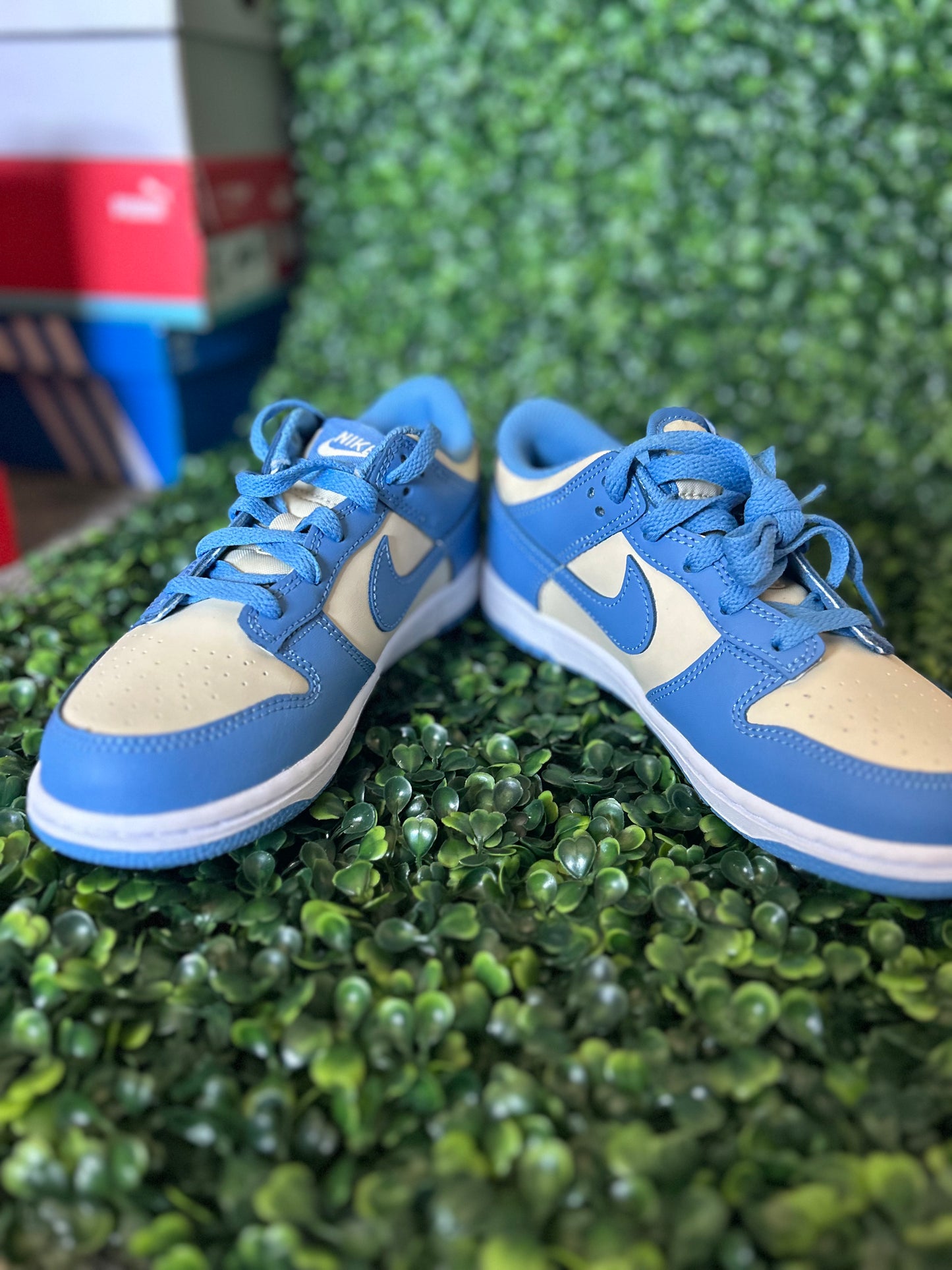 Nike dunk