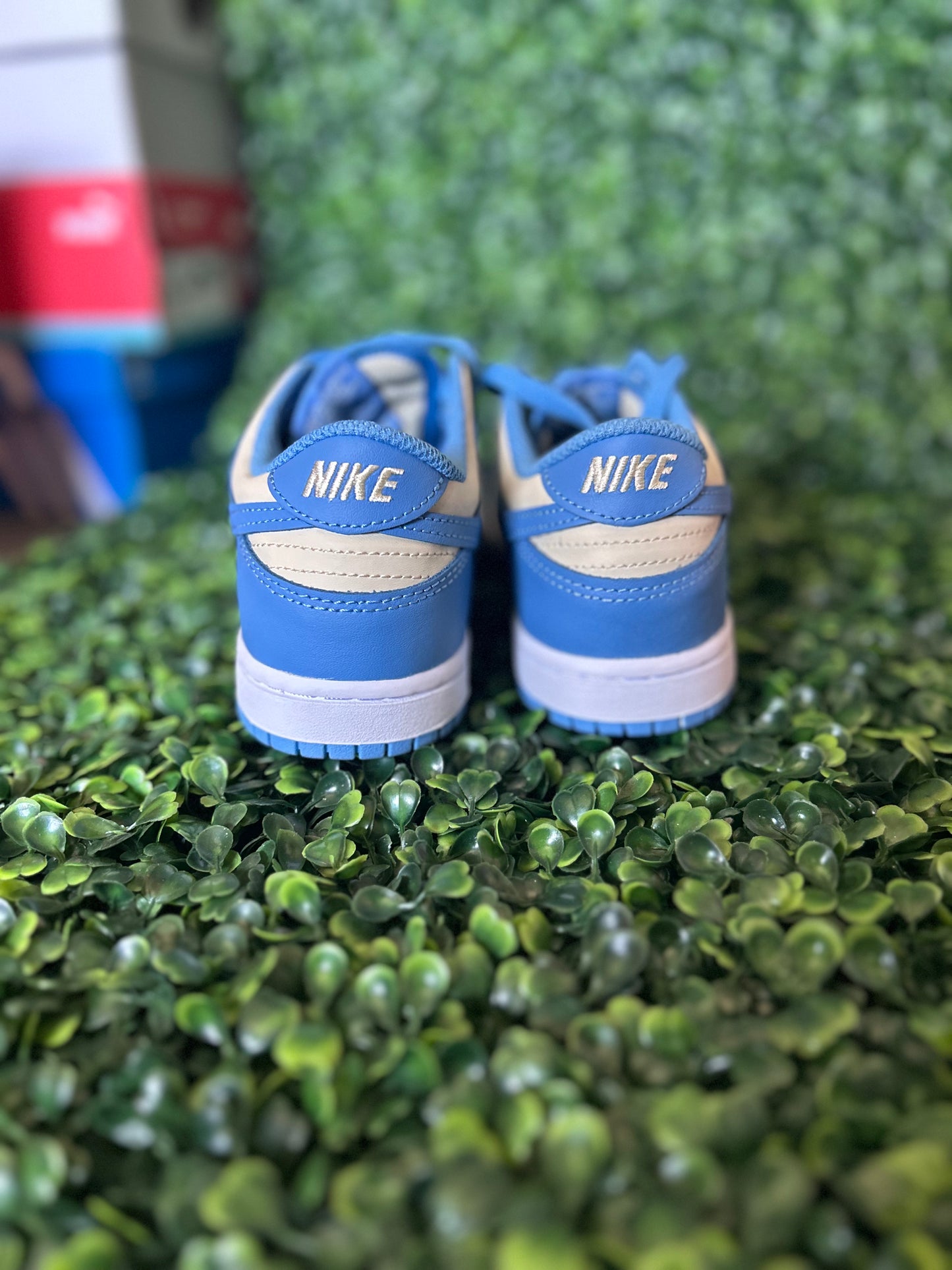 Nike dunk