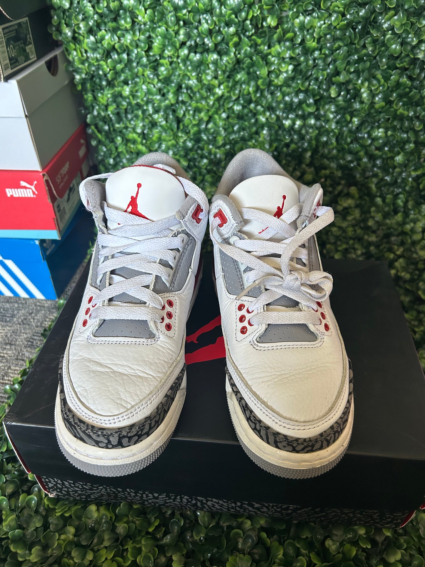 Jordan 3