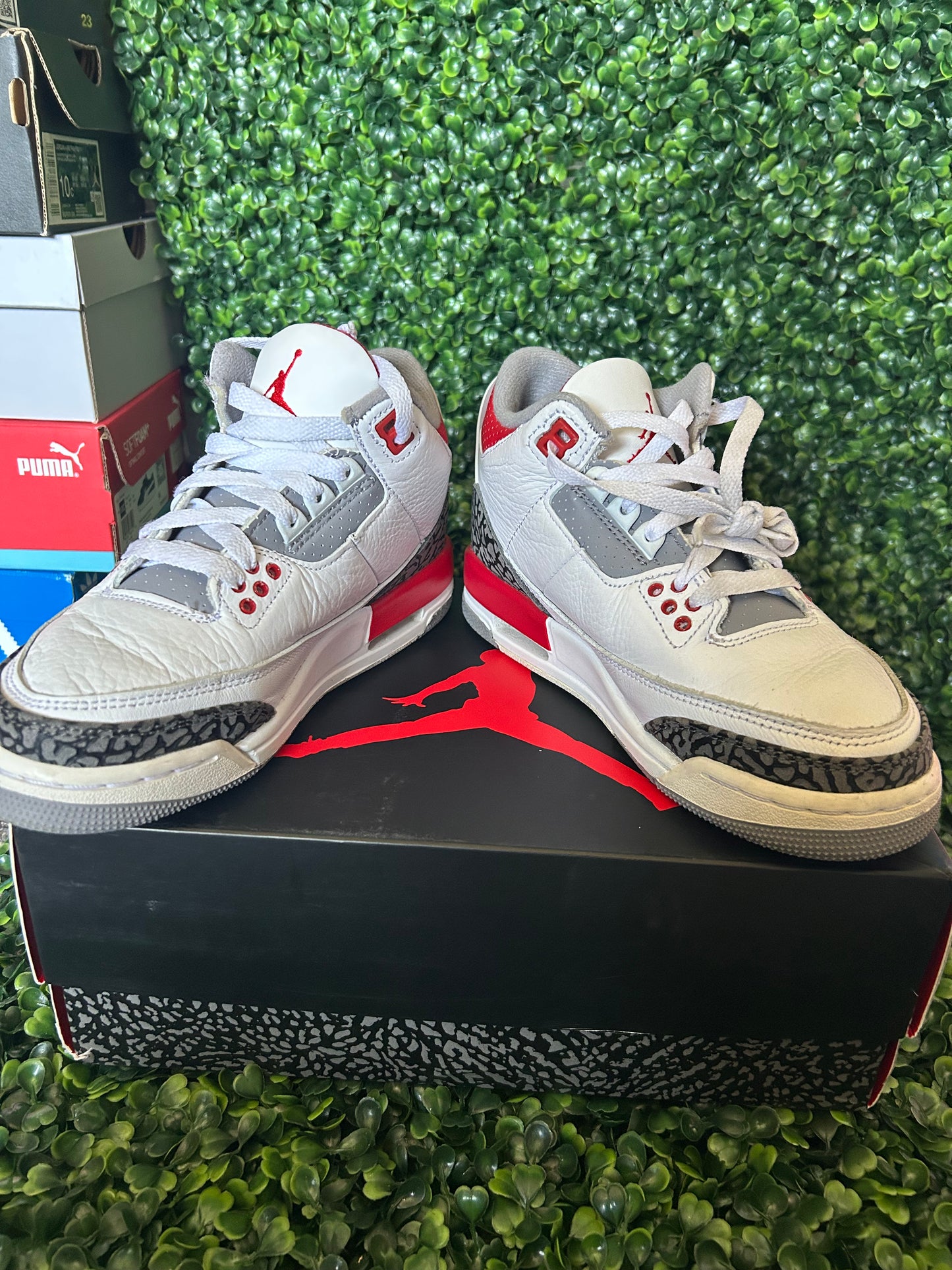 Jordan 3