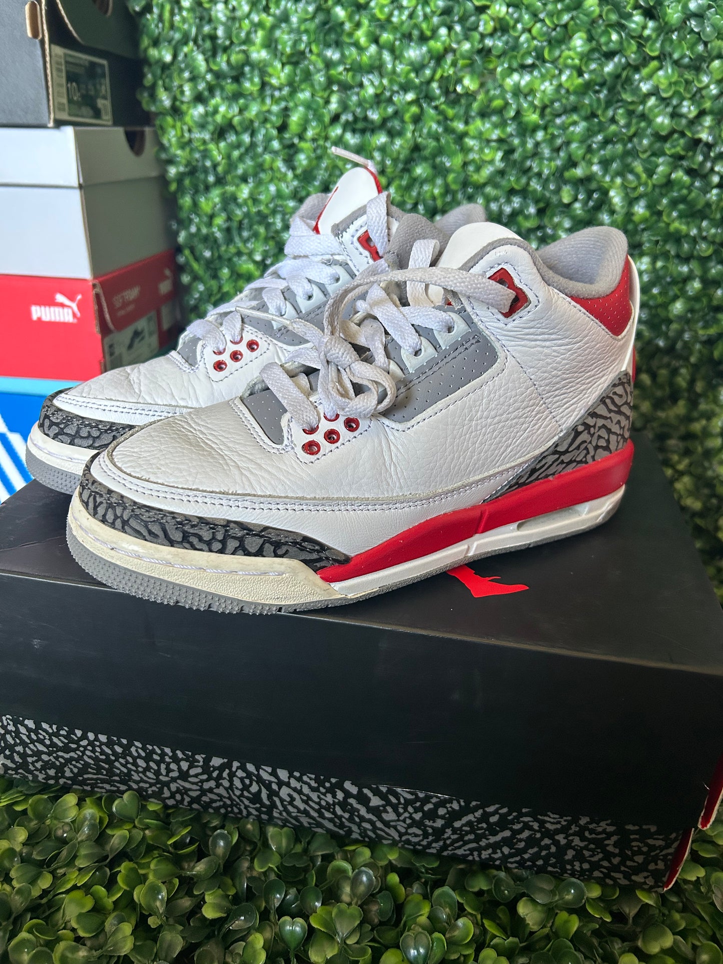 Jordan 3