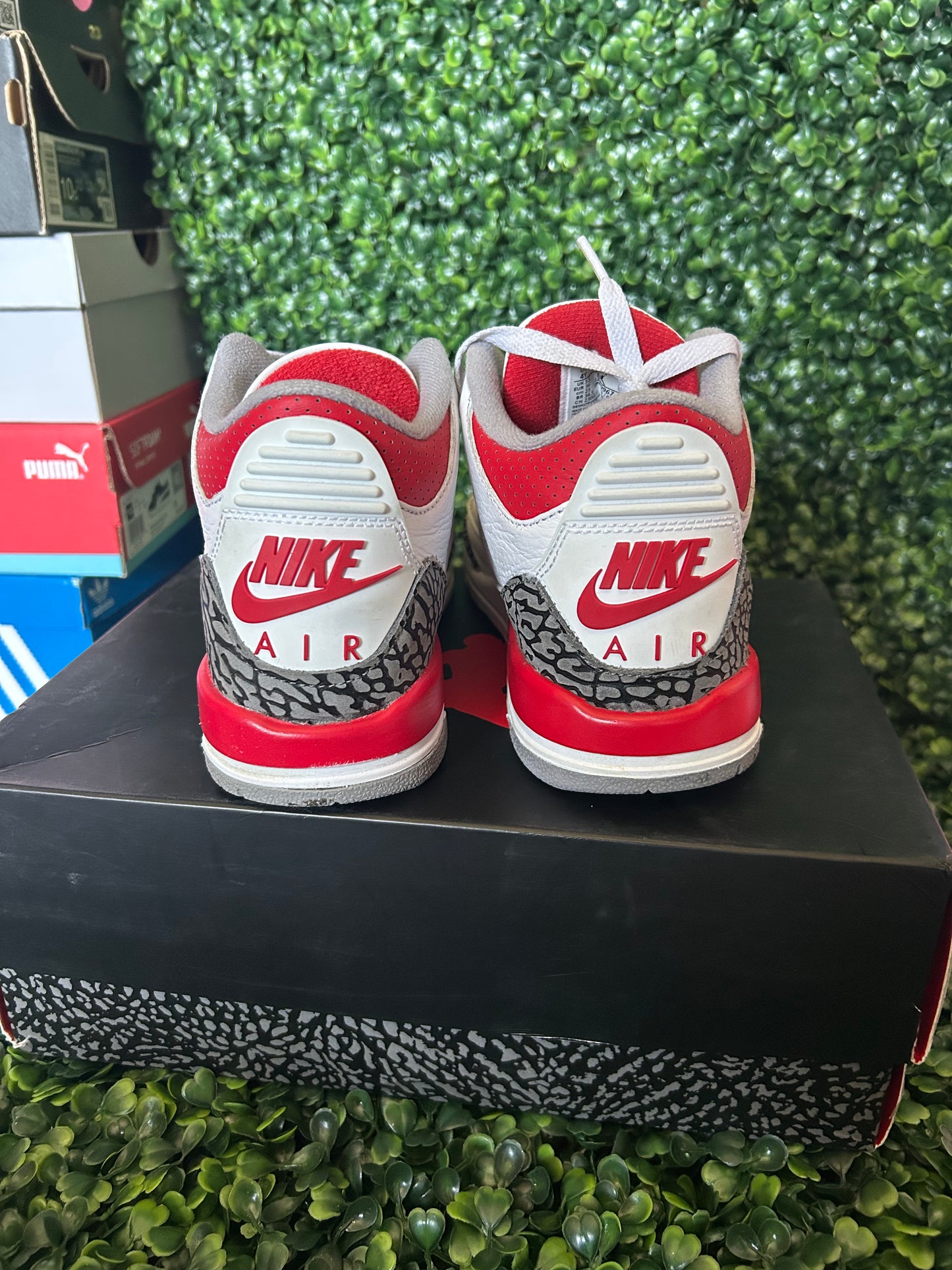 Jordan 3