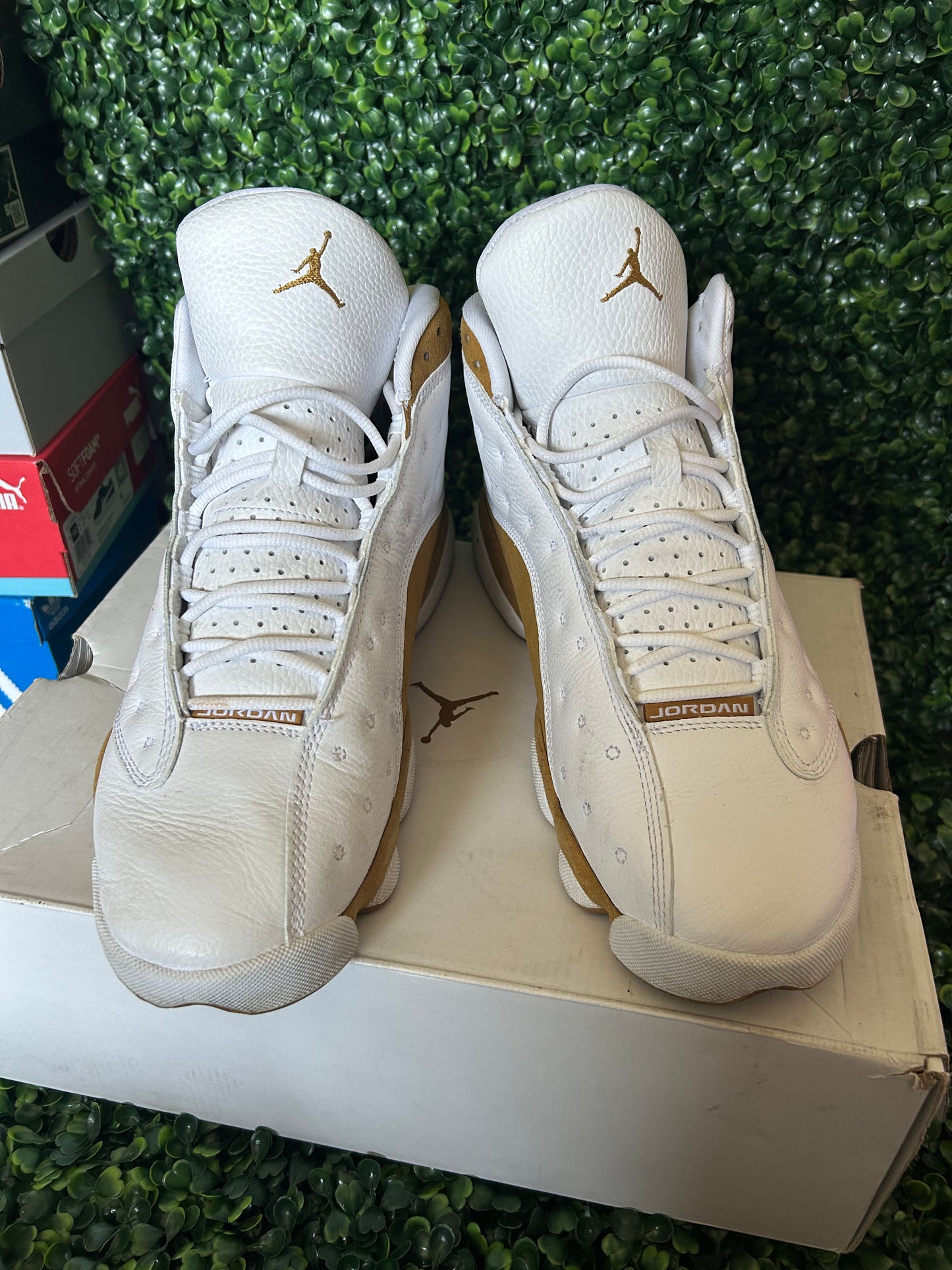 Jordan 13