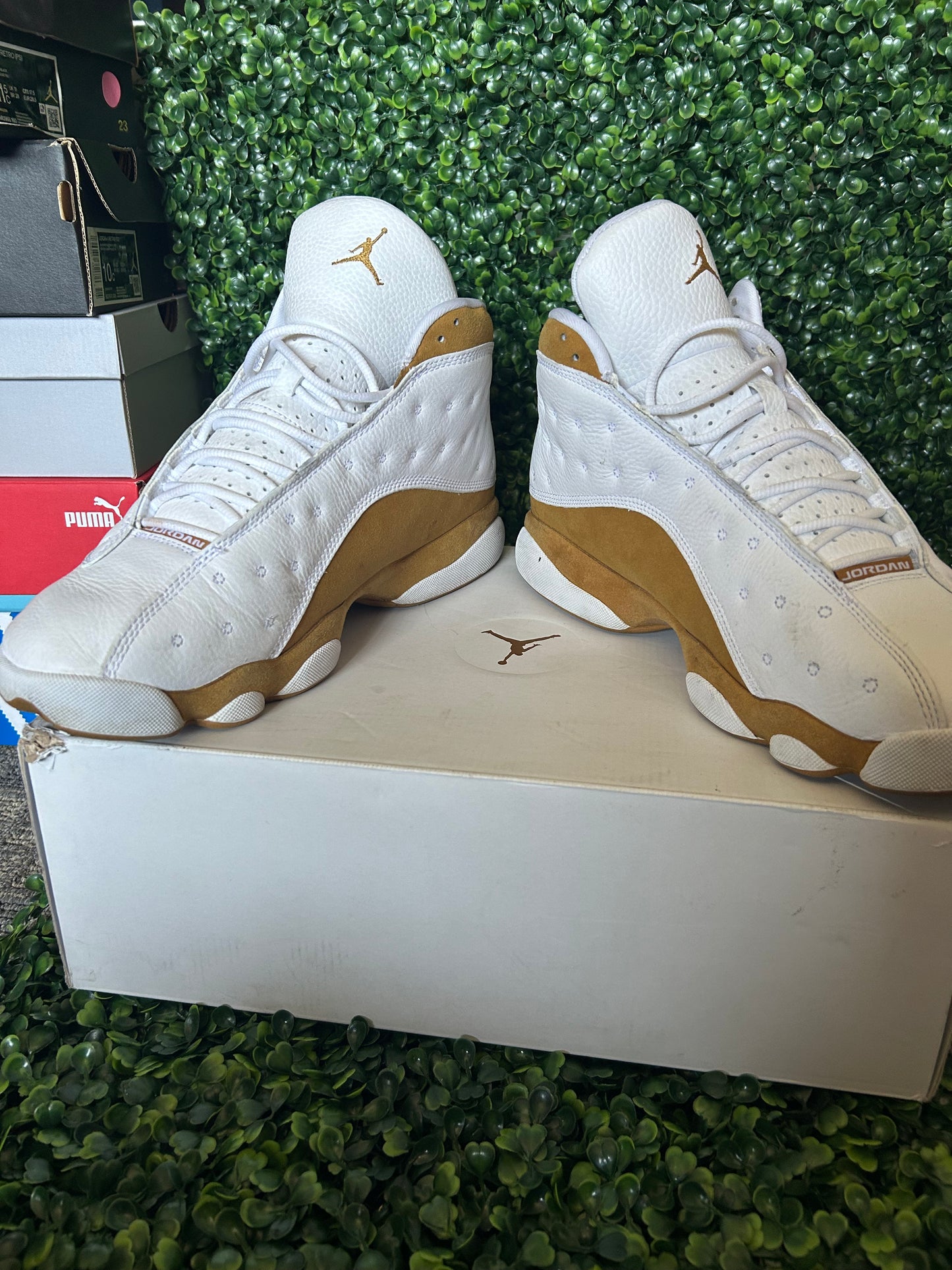 Jordan 13