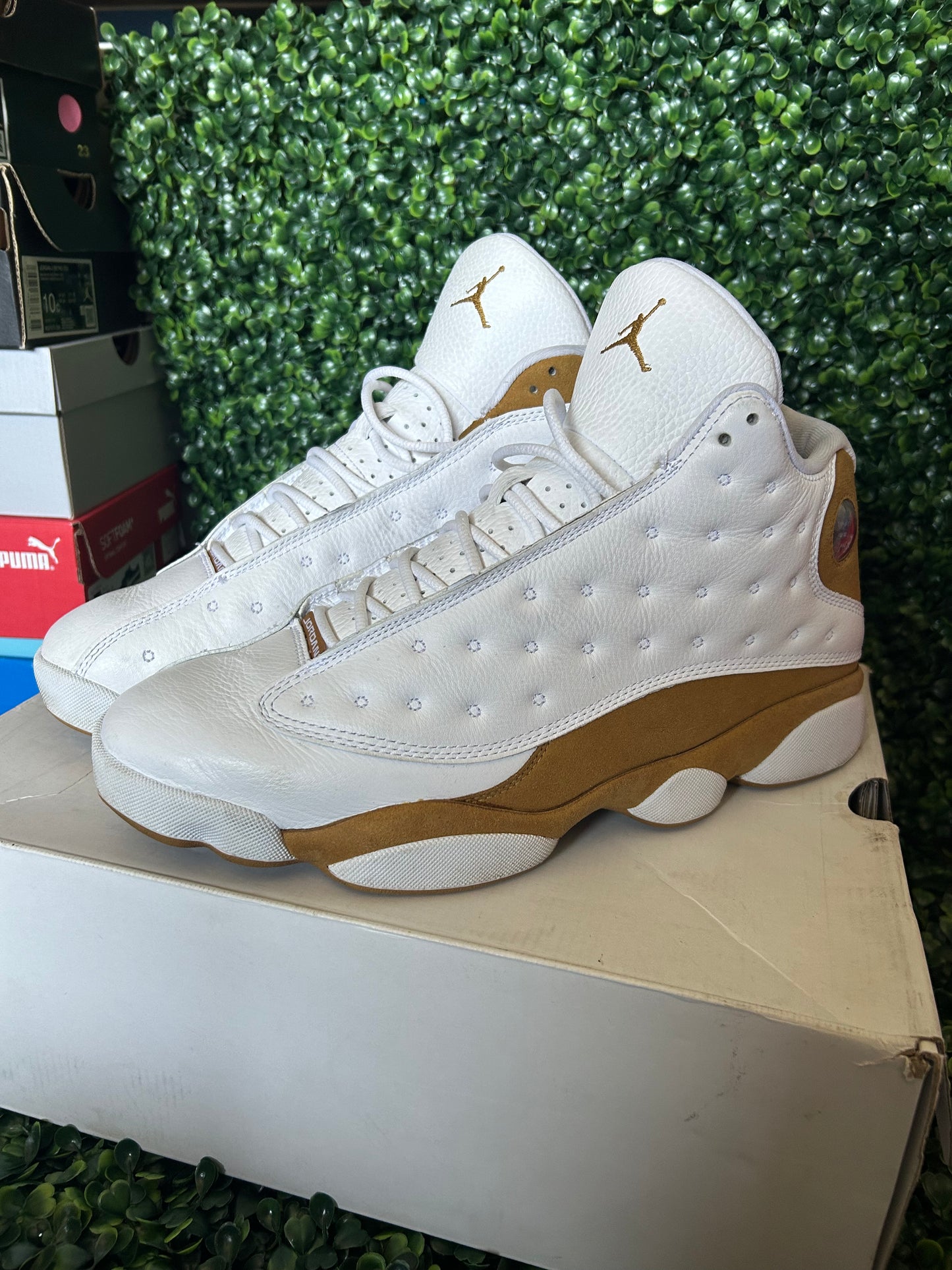 Jordan 13