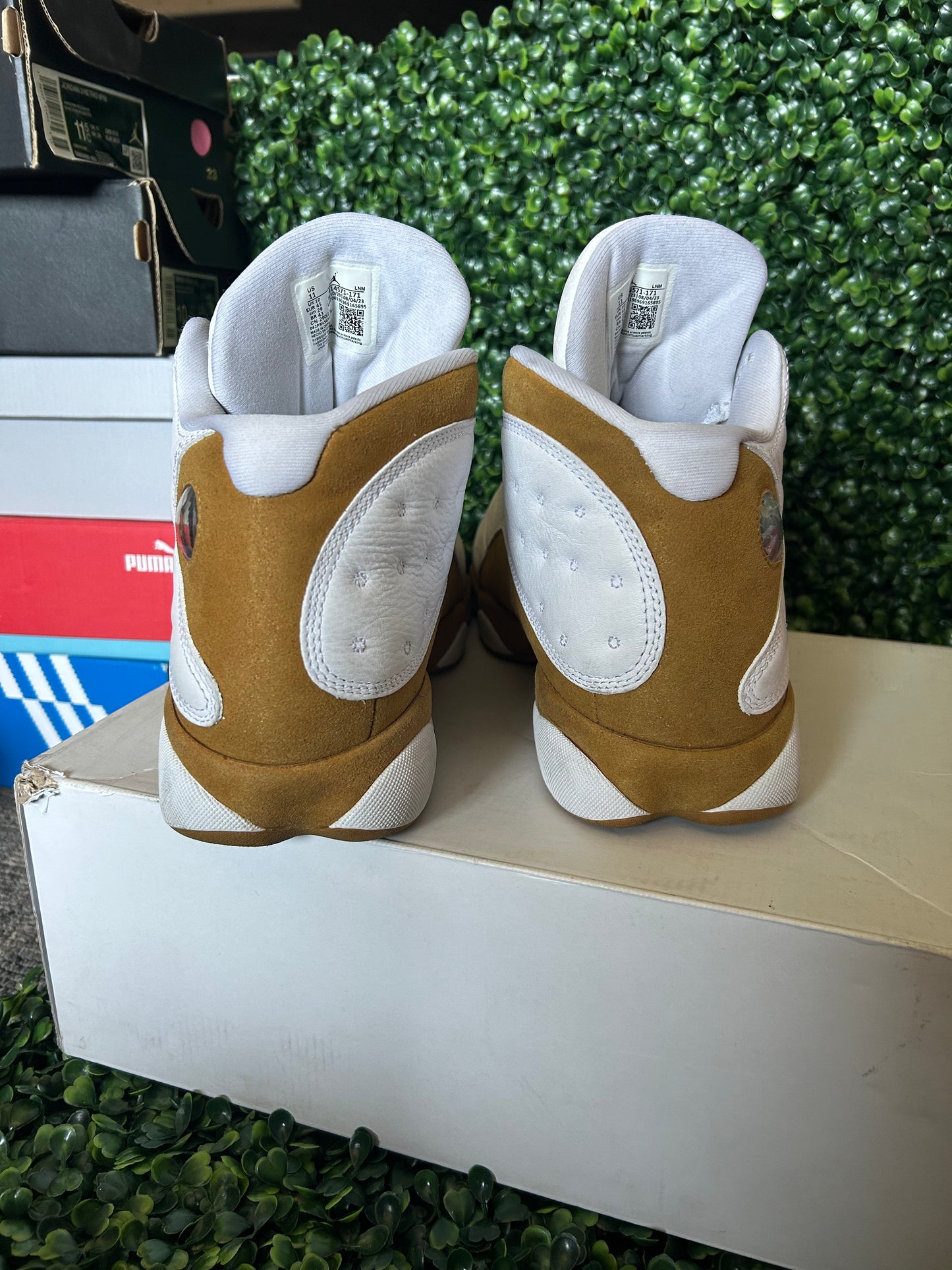 Jordan 13