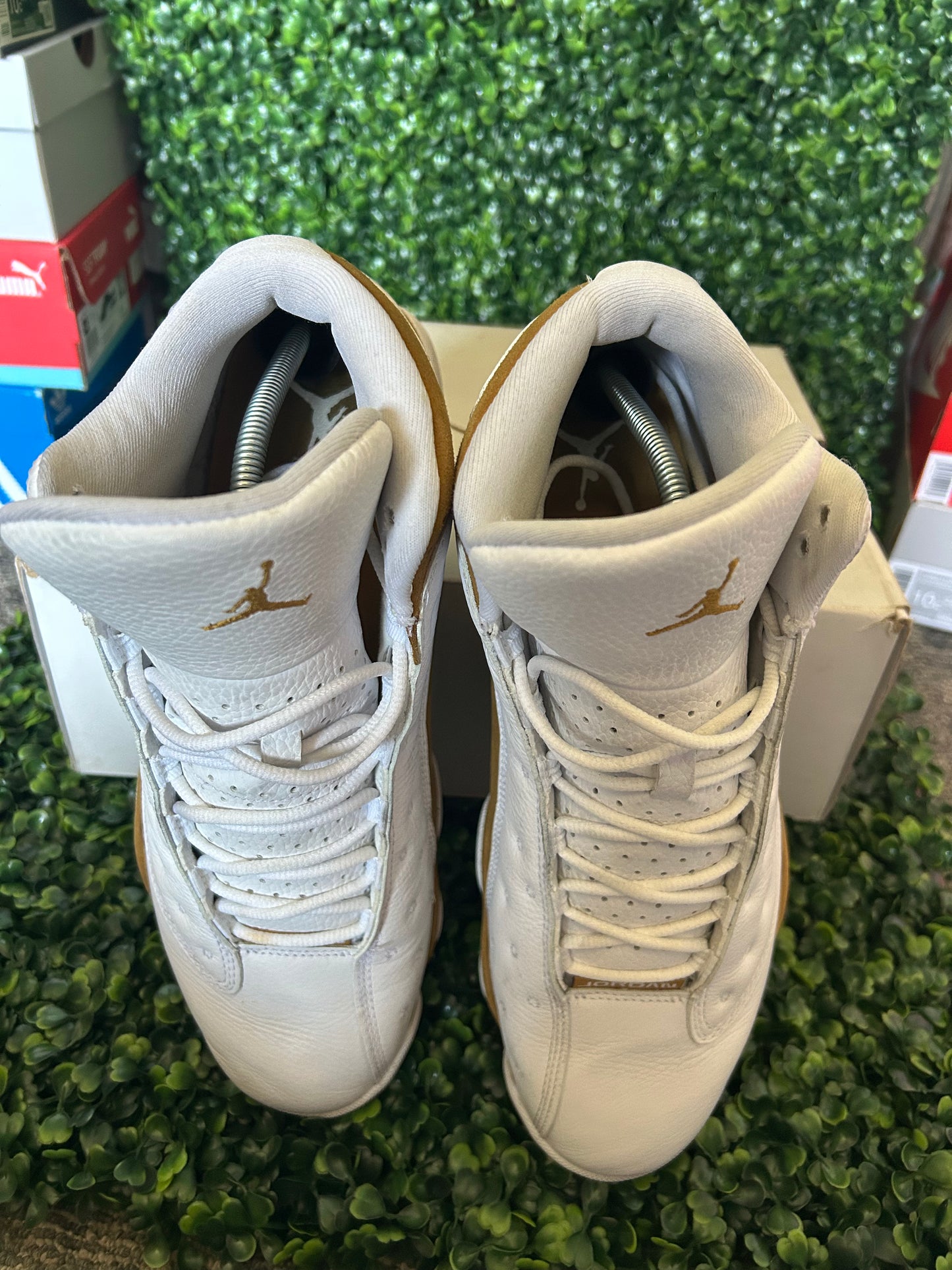 Jordan 13