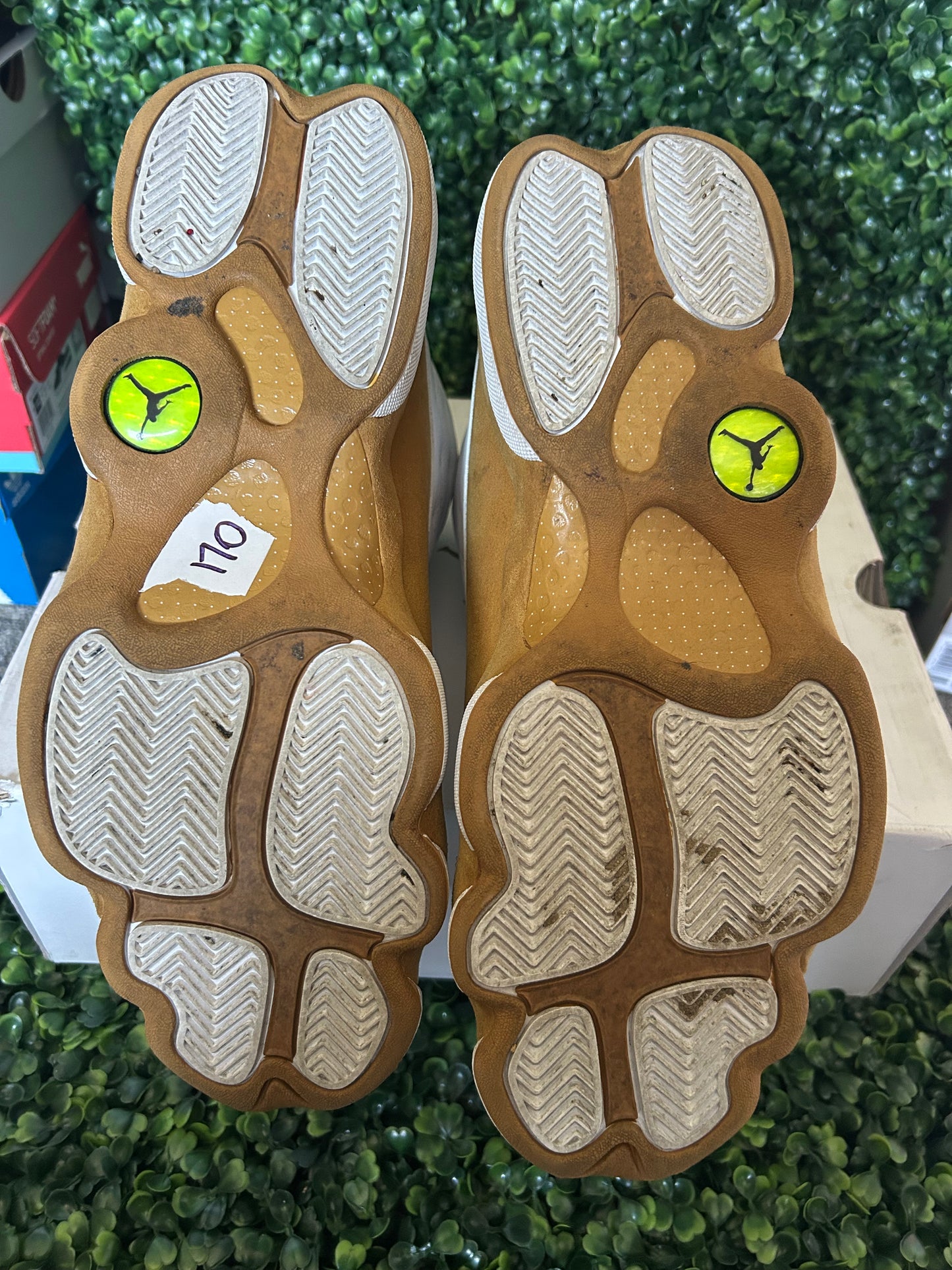 Jordan 13