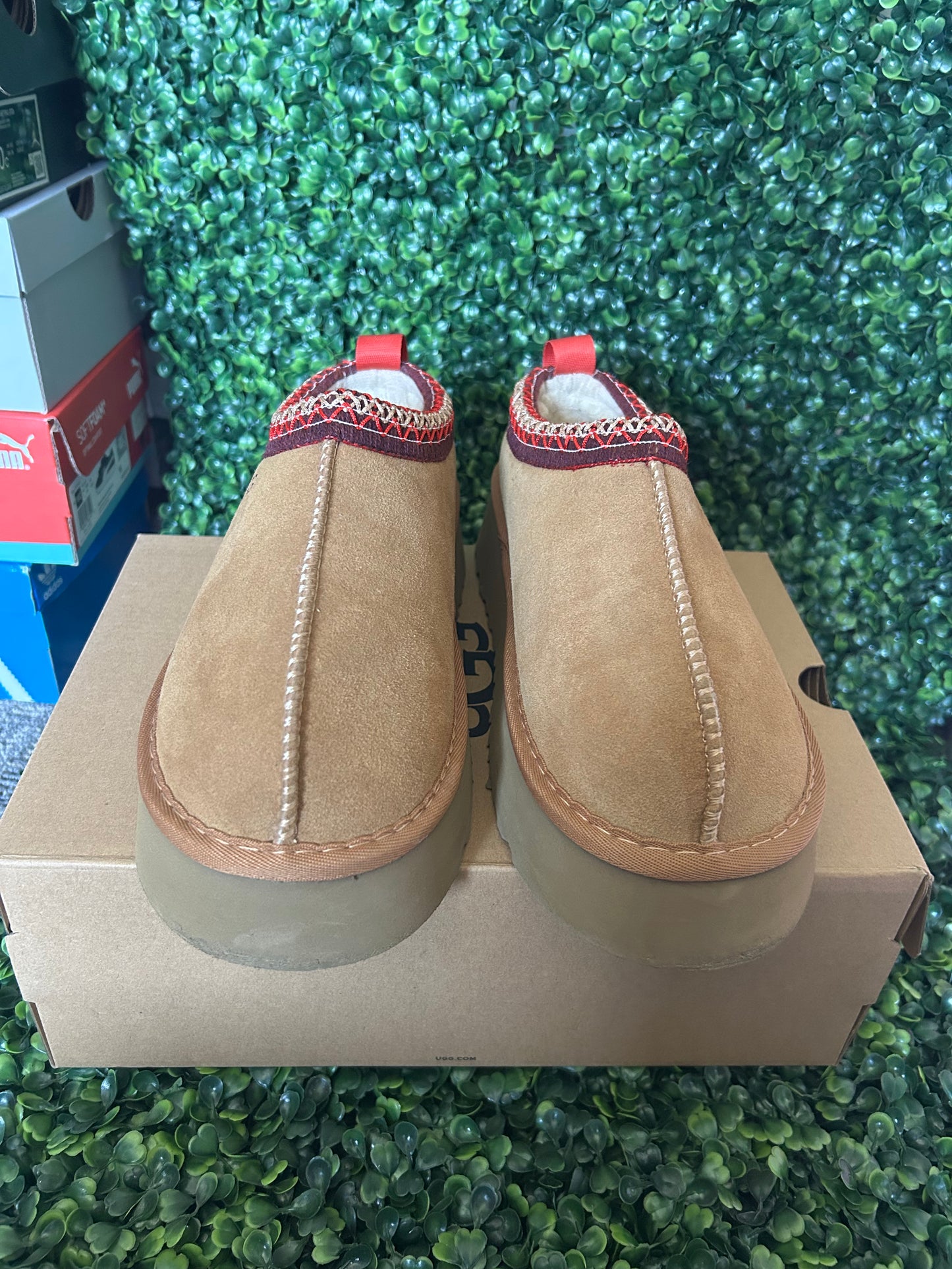 UGGS tasman