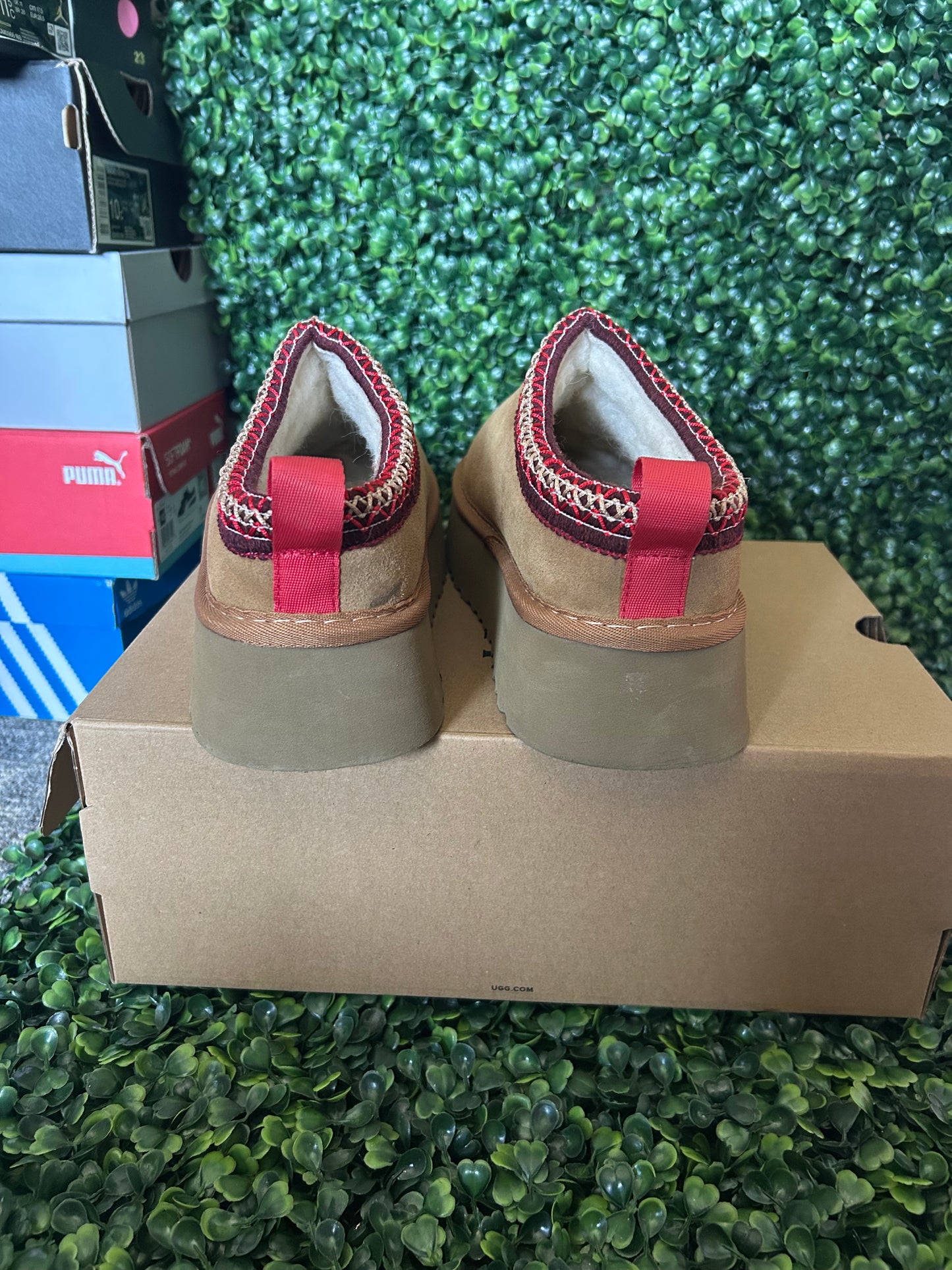 UGGS tasman
