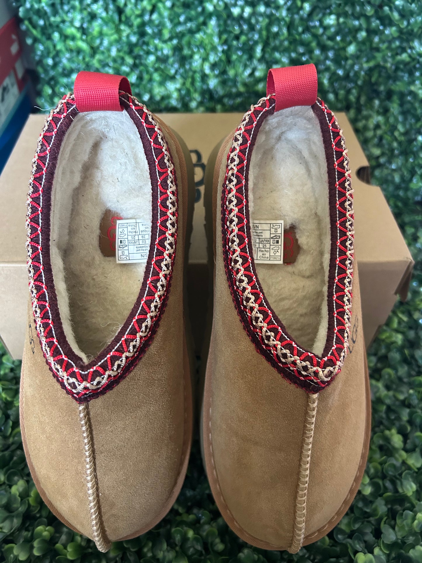 UGGS tasman