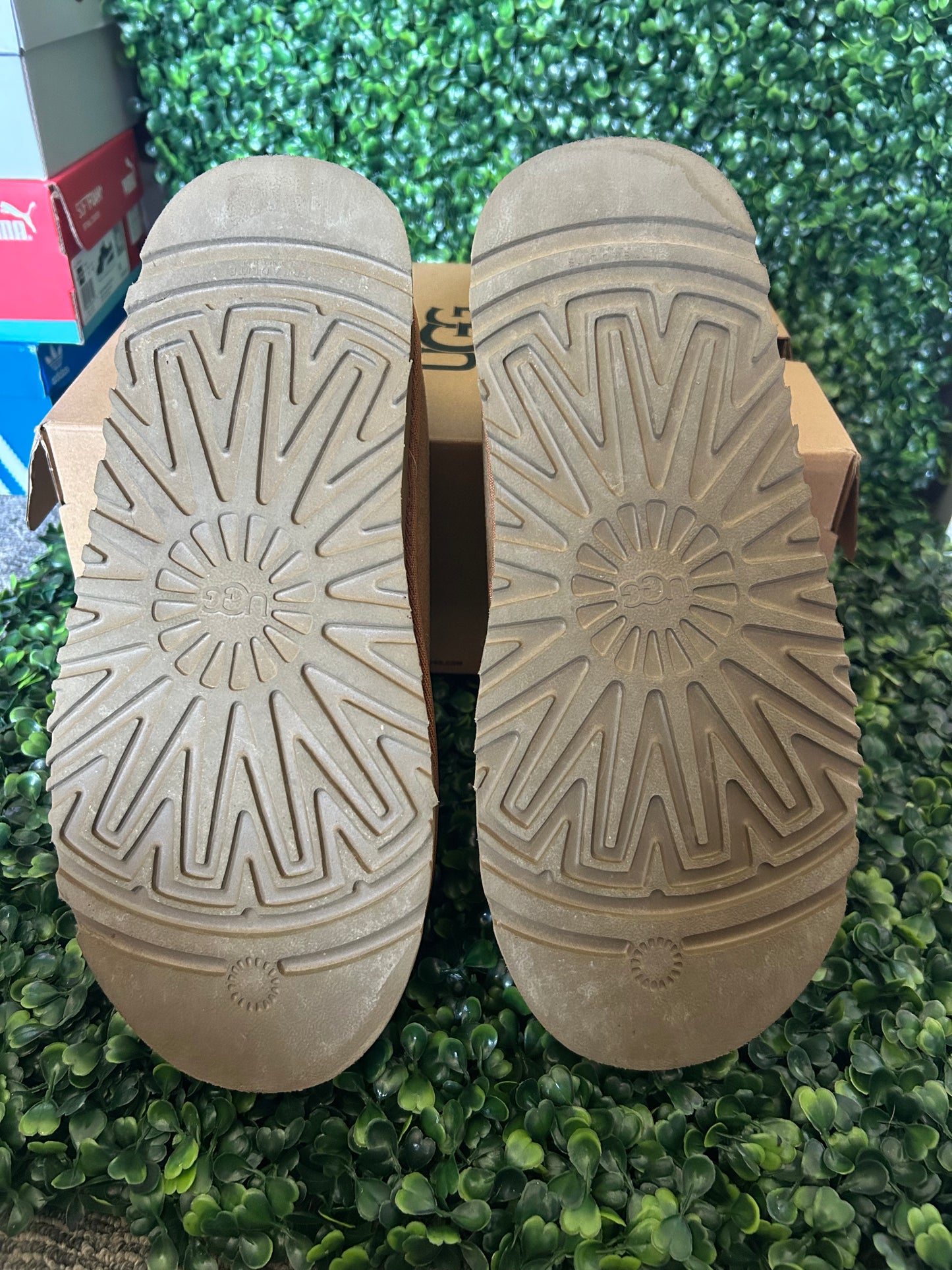 UGGS tasman