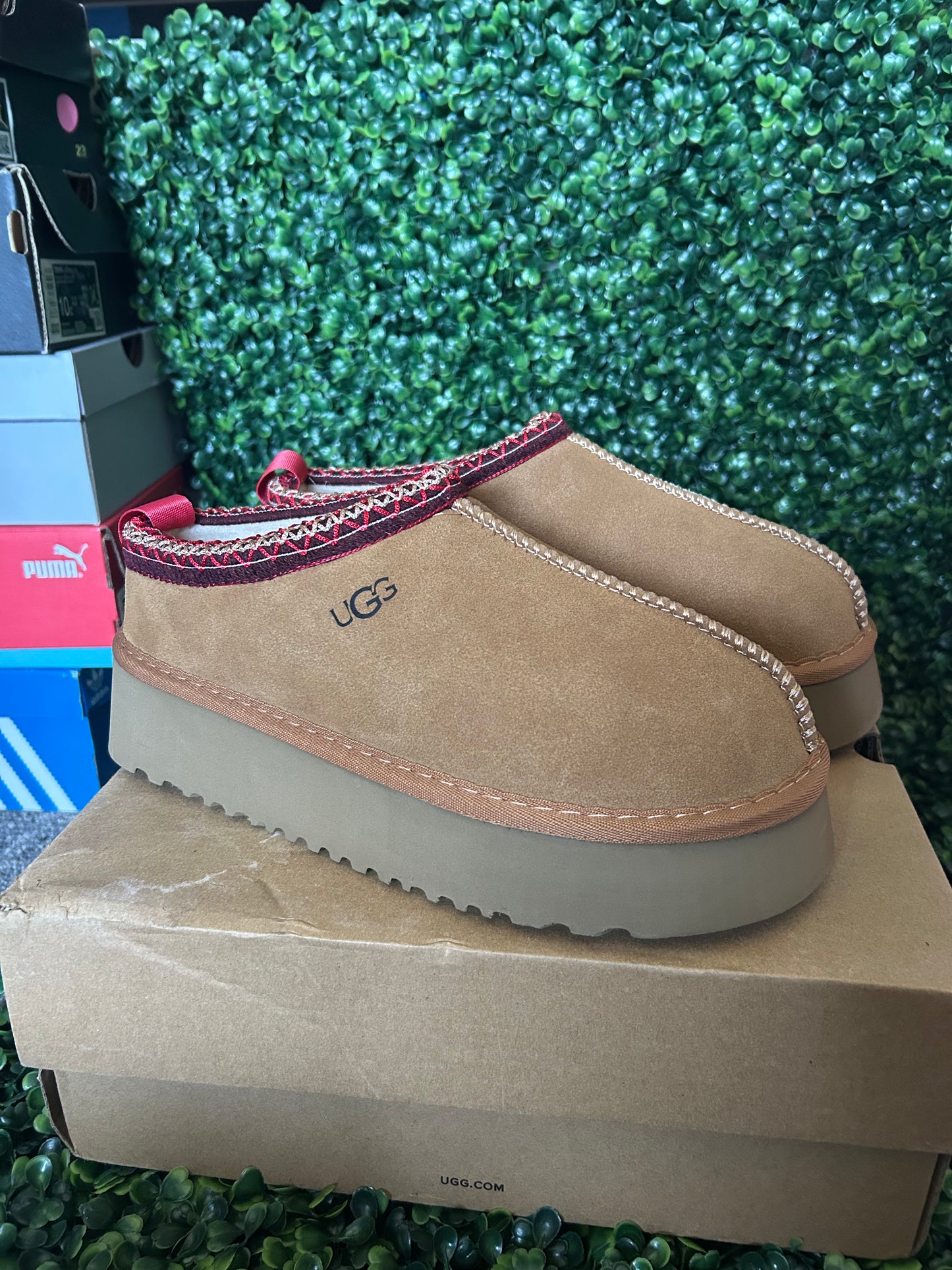 UGGS tasman