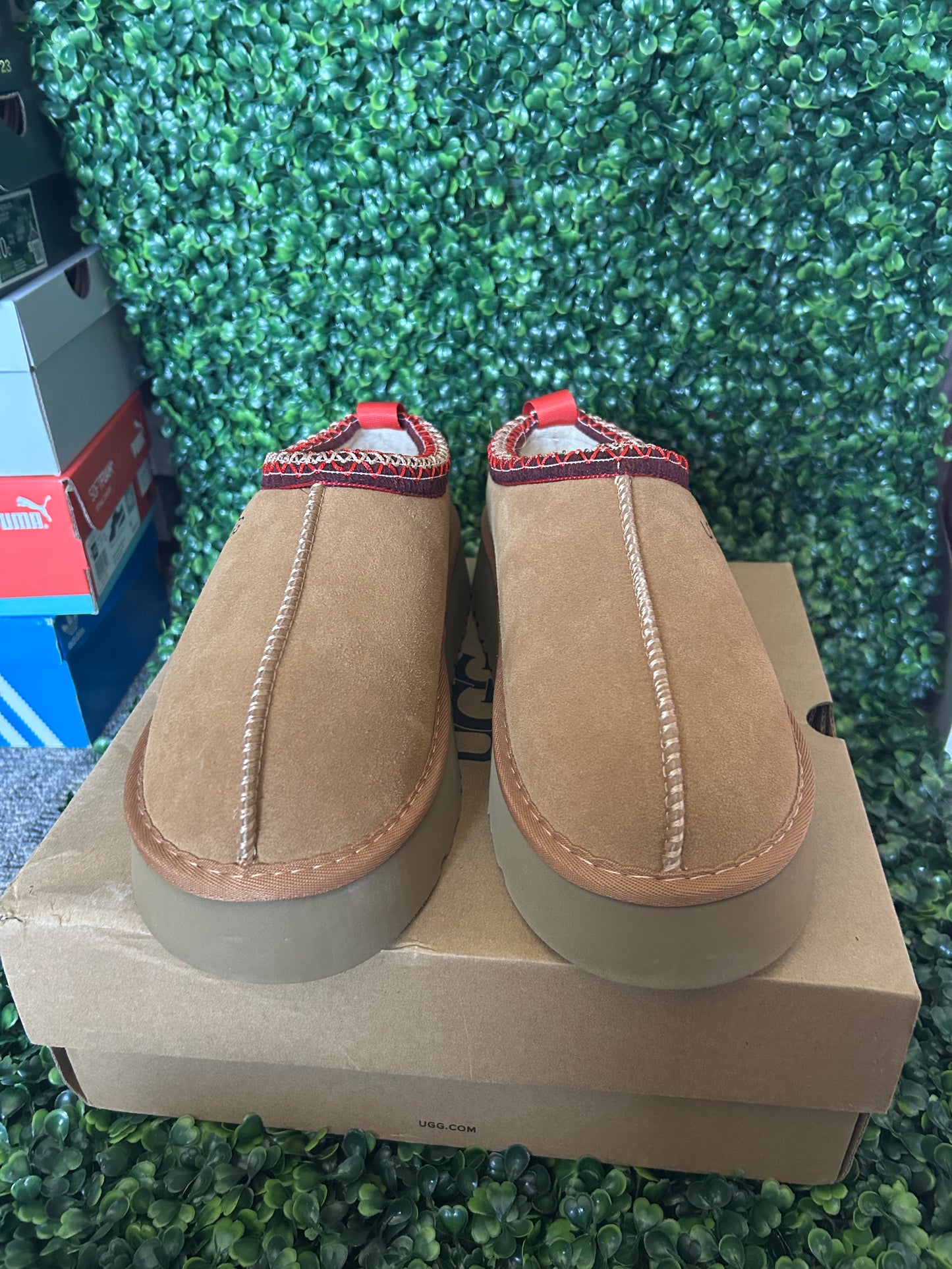 UGGS tasman