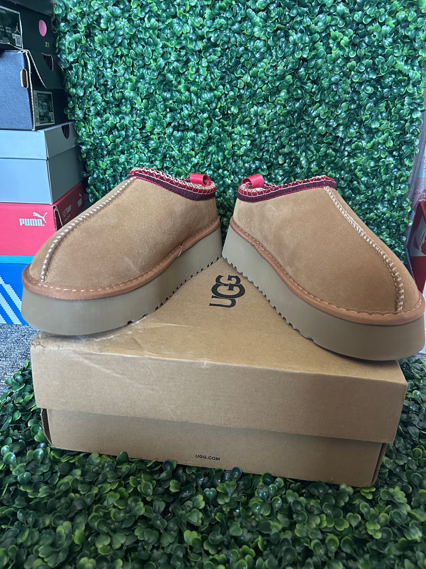 UGGS tasman