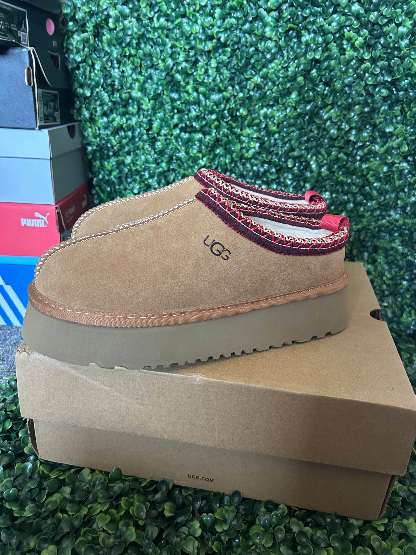 UGGS tasman