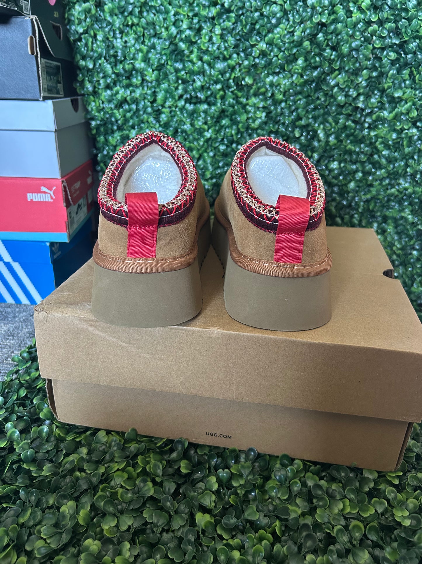 UGGS tasman
