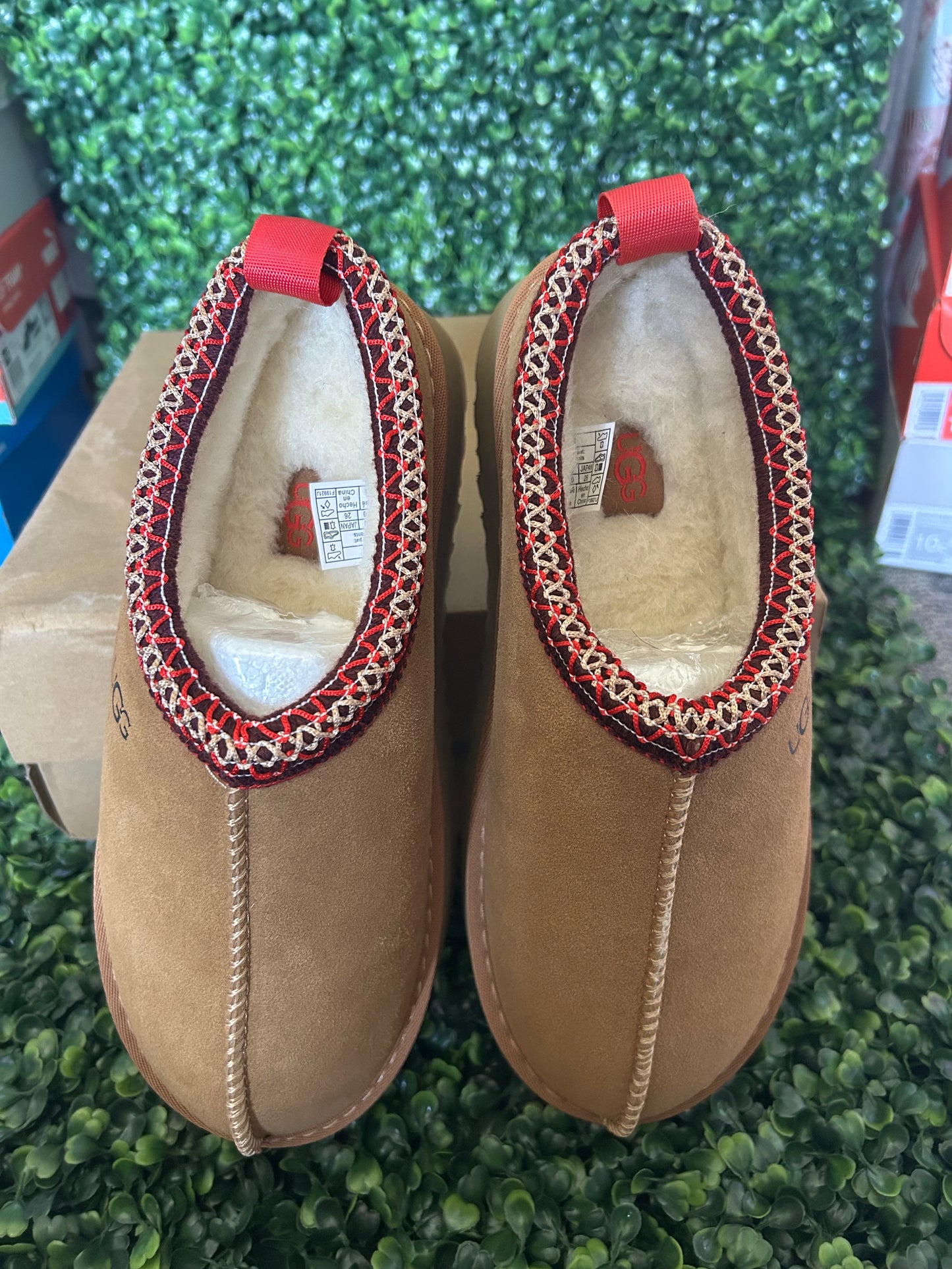 UGGS tasman