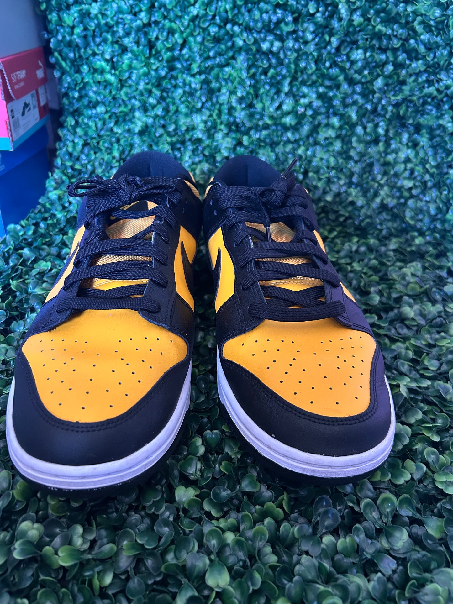 Nike dunk