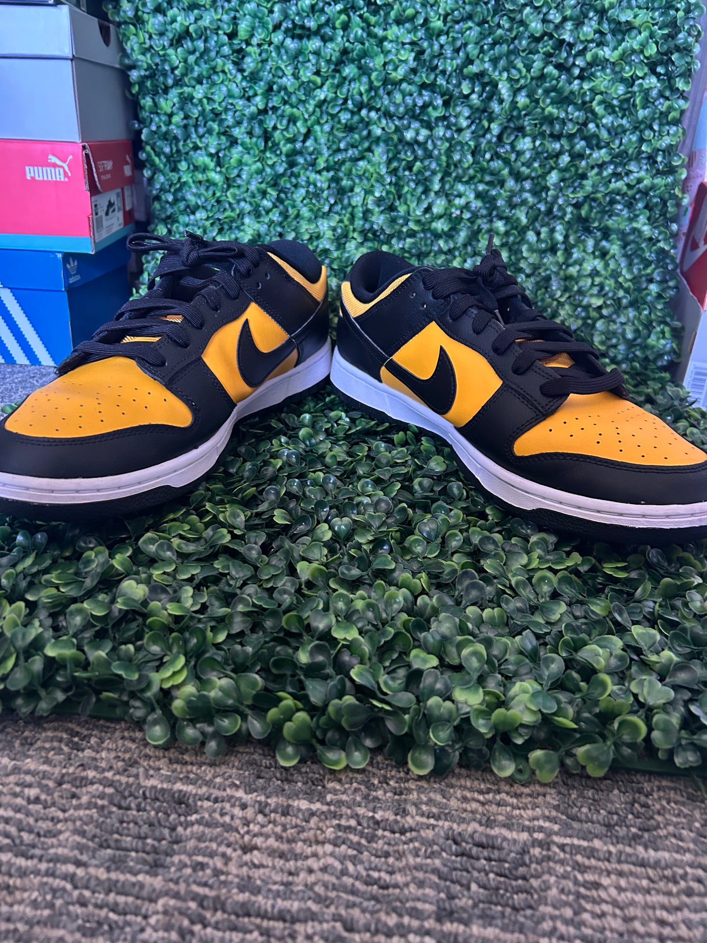 Nike dunk