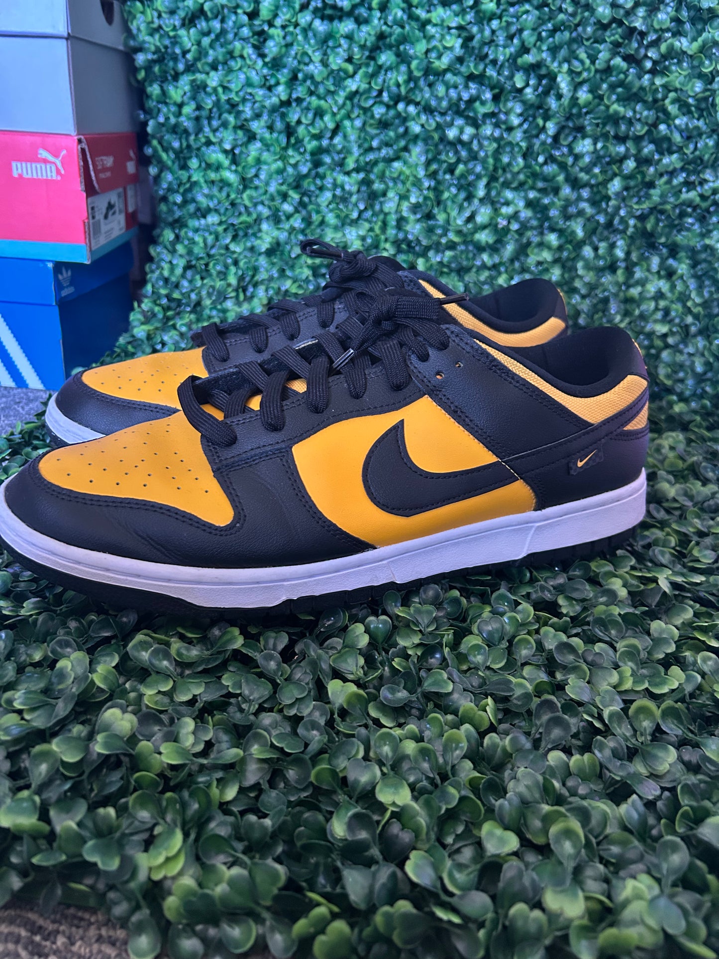 Nike dunk