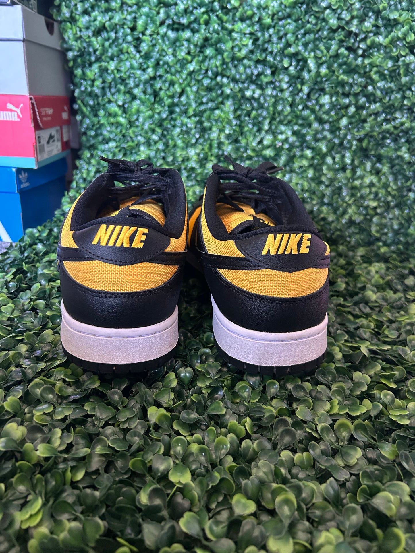 Nike dunk