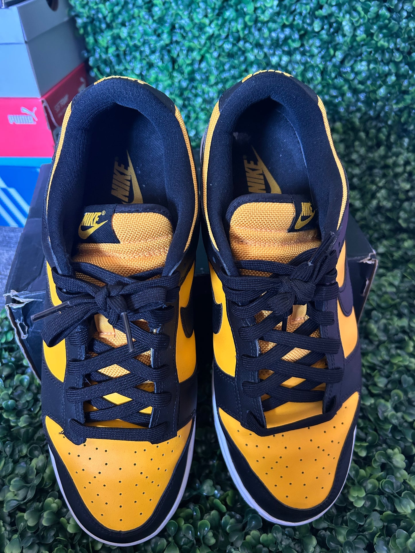 Nike dunk
