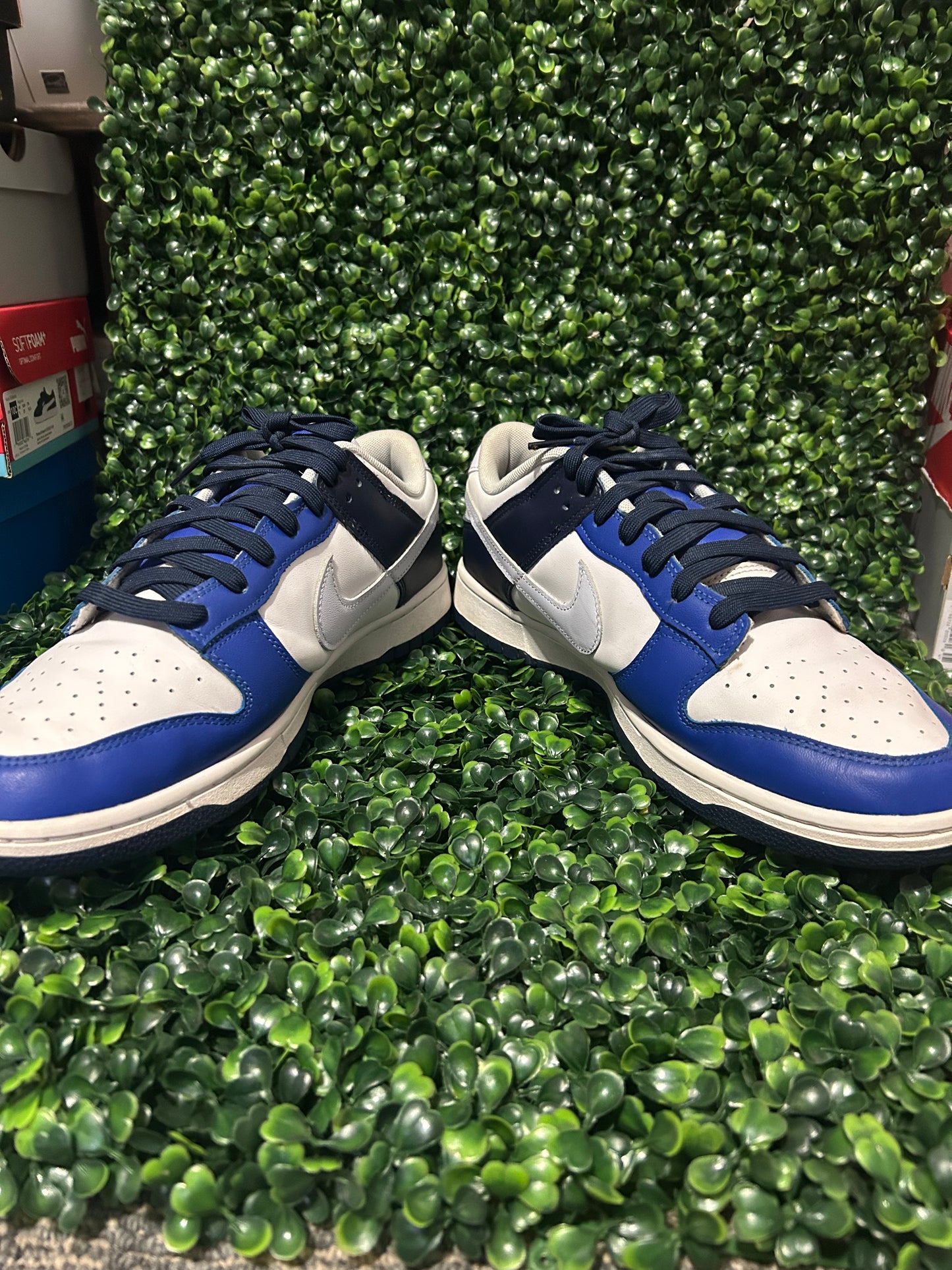 Nike dunk