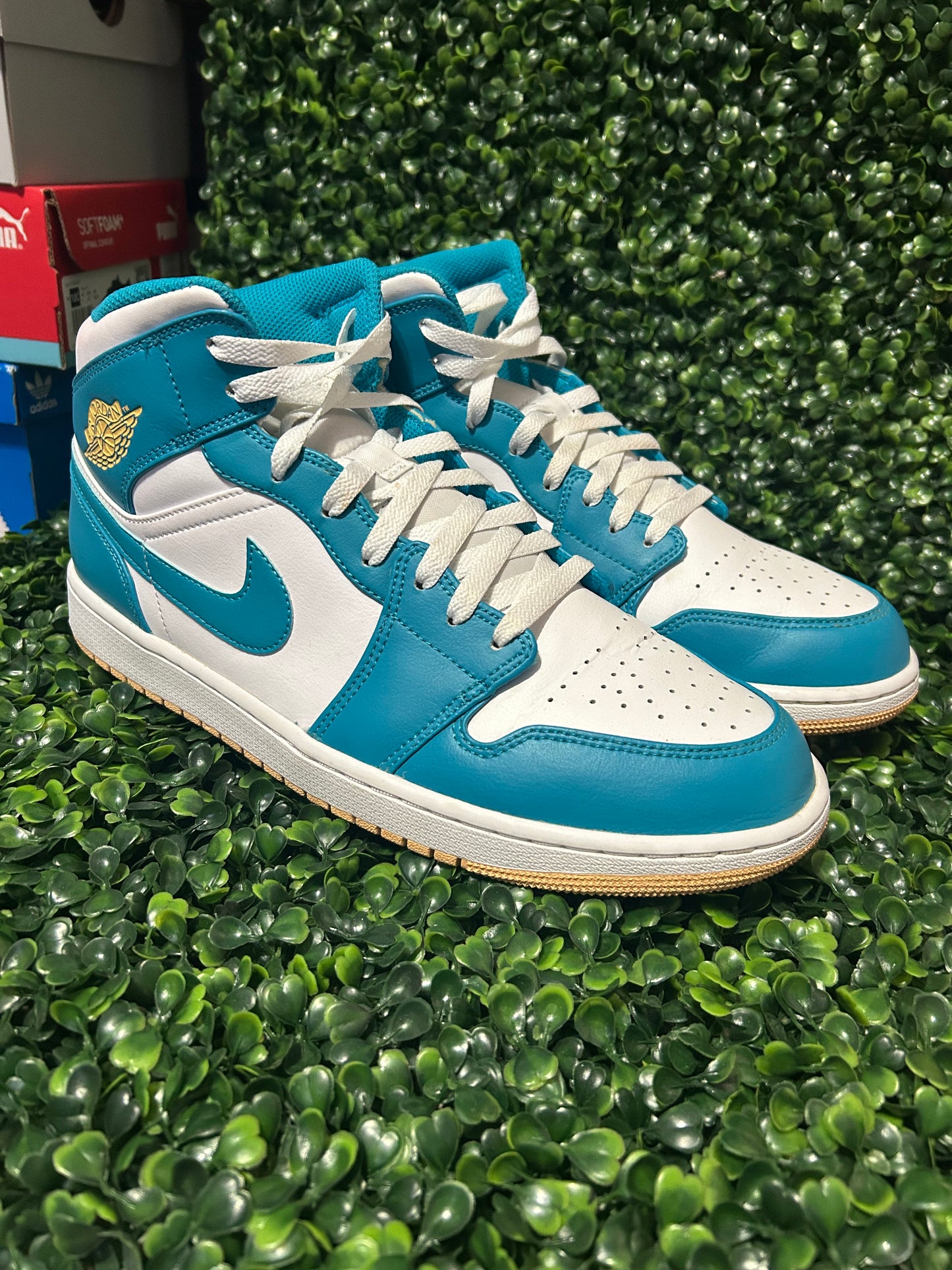 Jordan 1