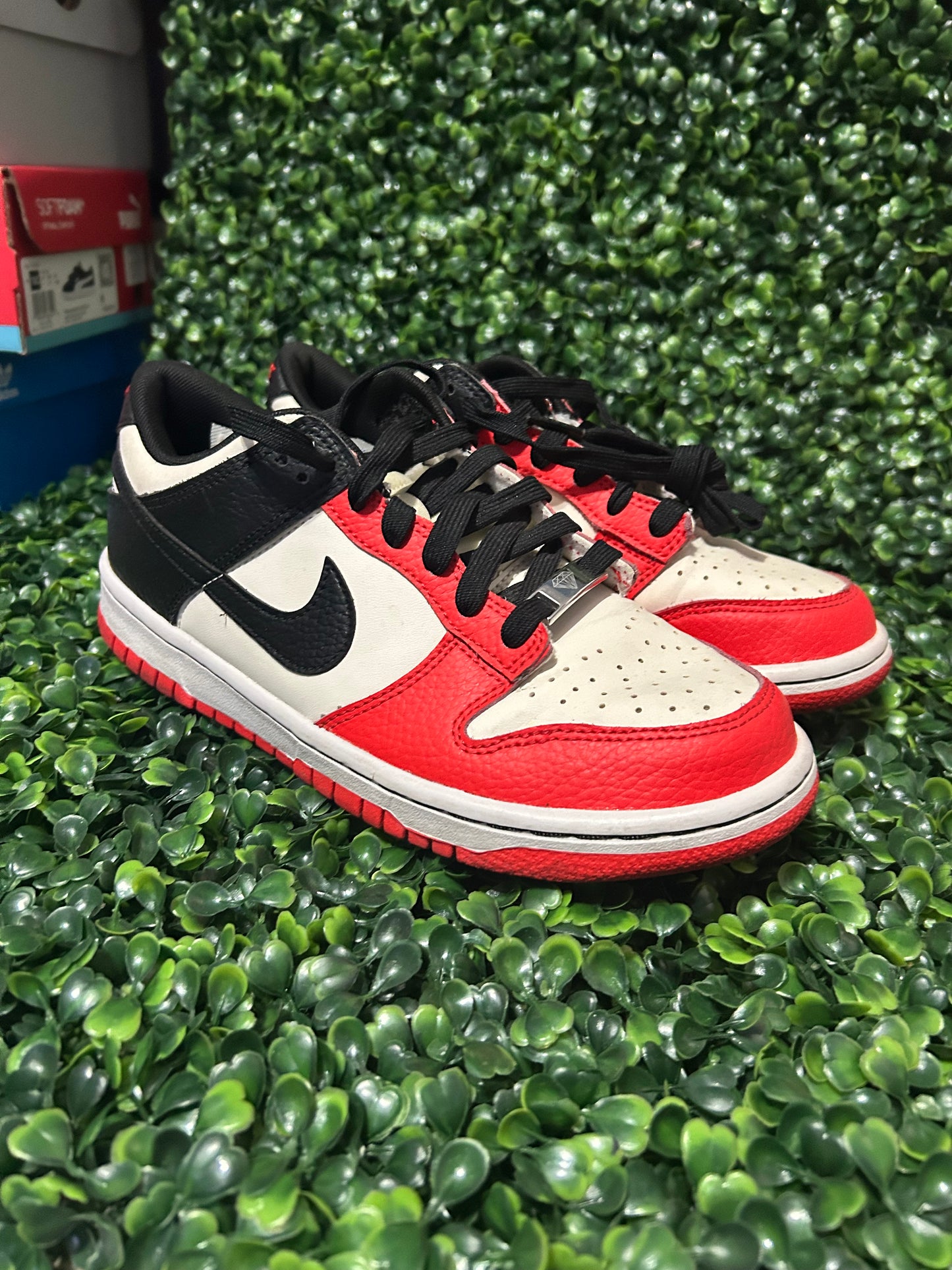 Nike dunk