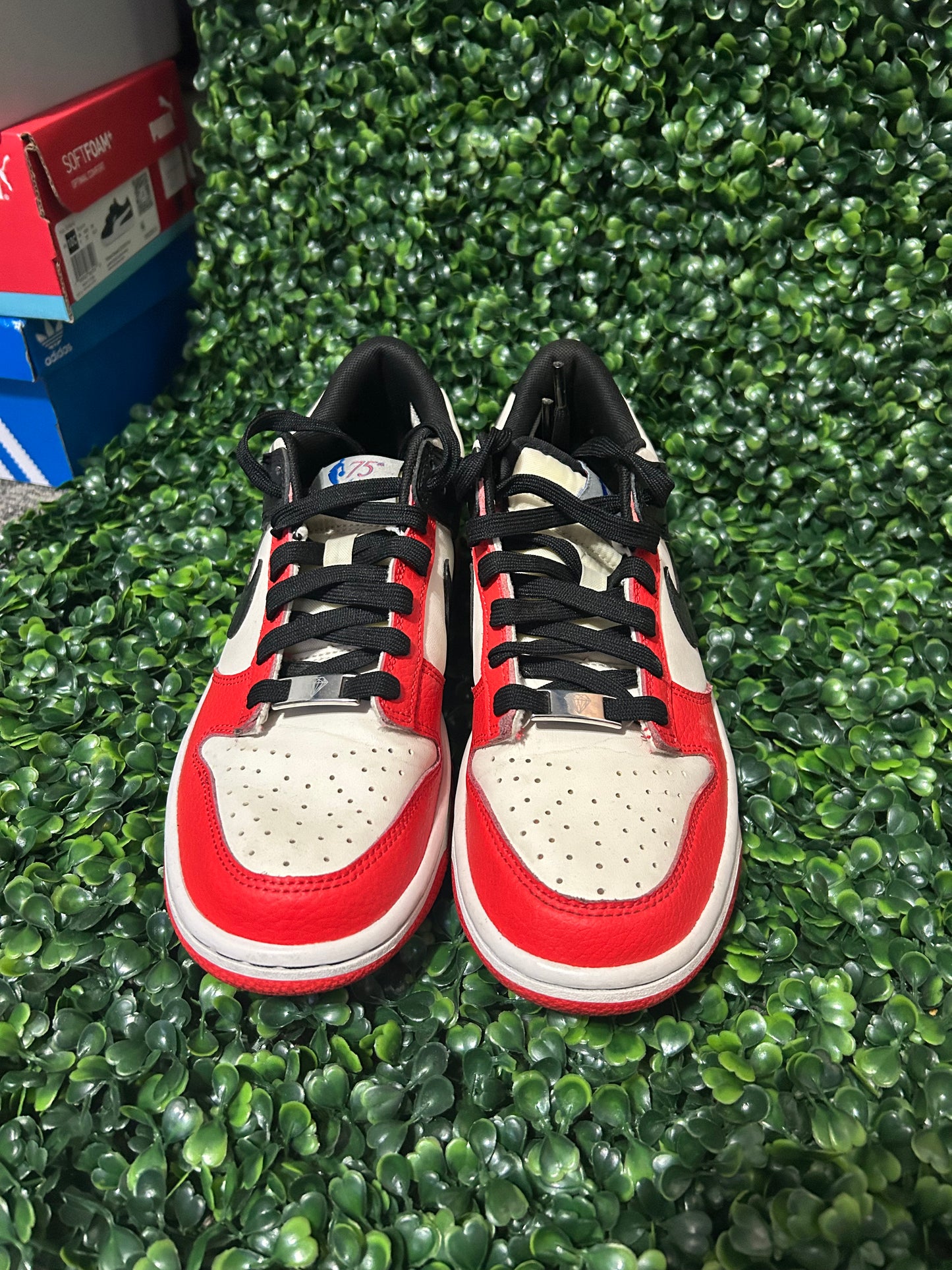 Nike dunk