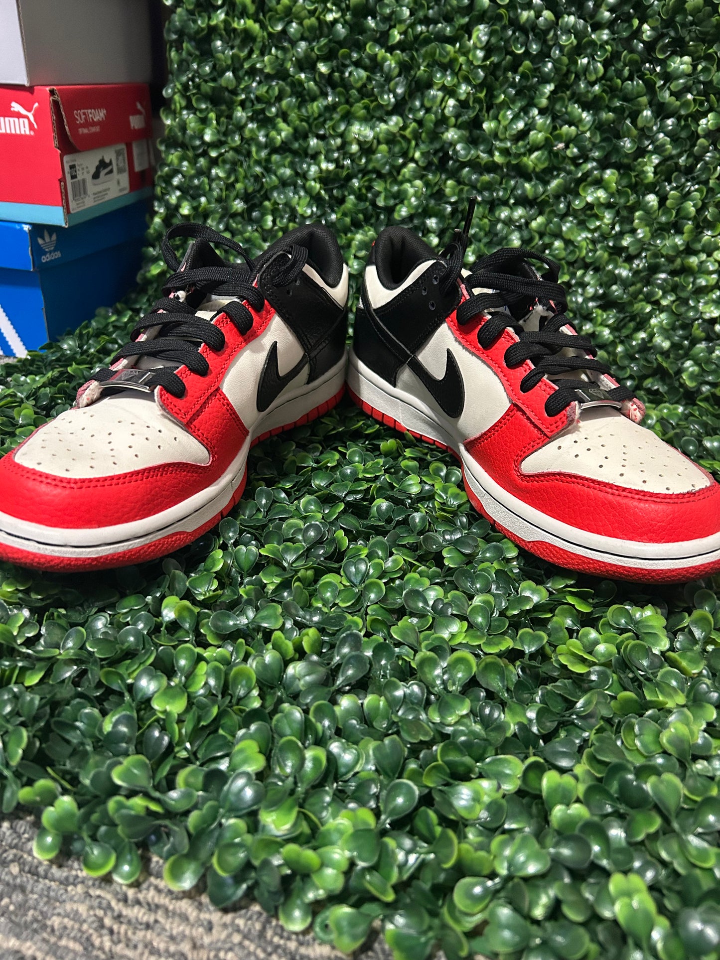 Nike dunk